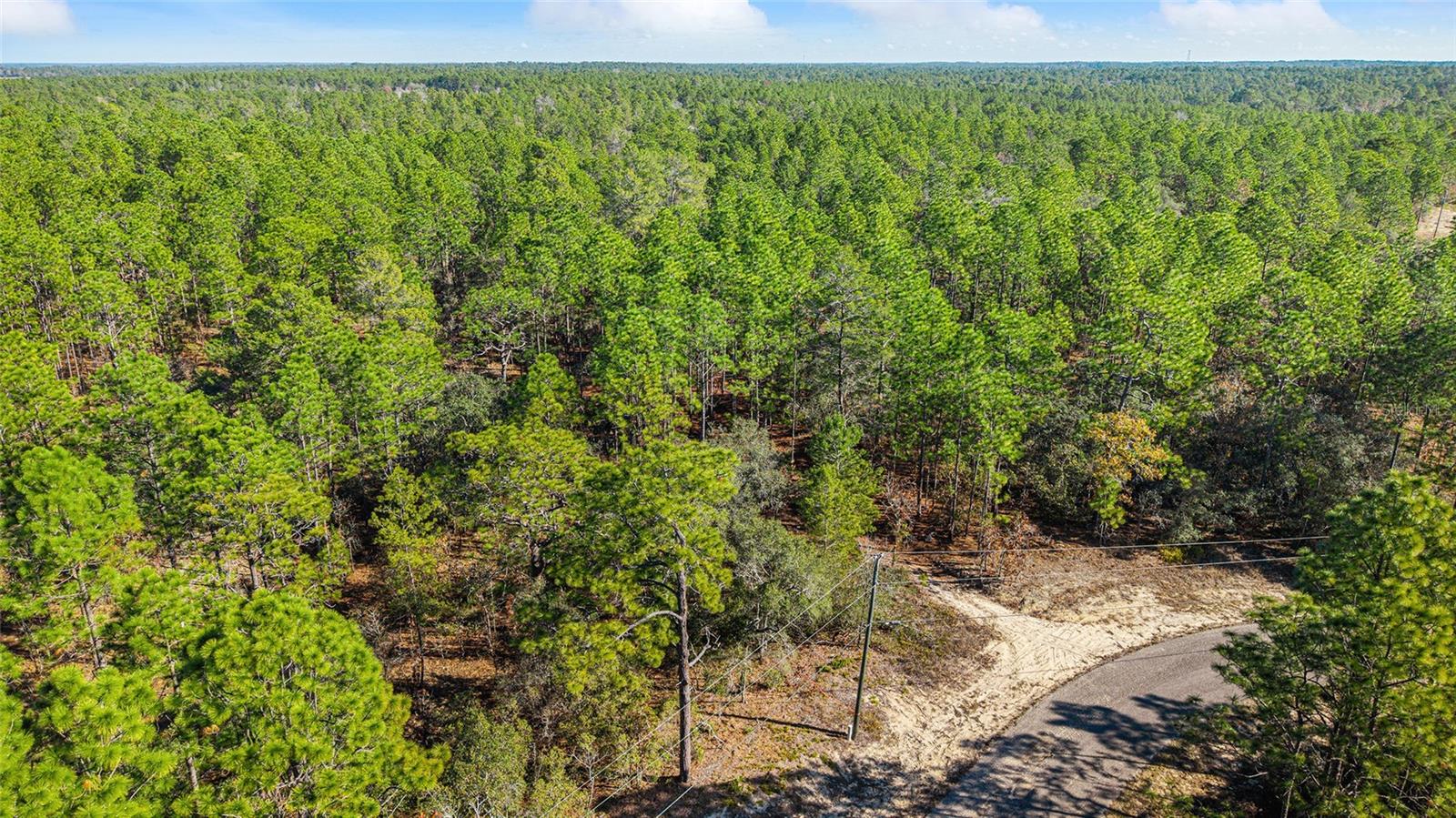 Image 3 of 10 For 8941 Farrington Drive