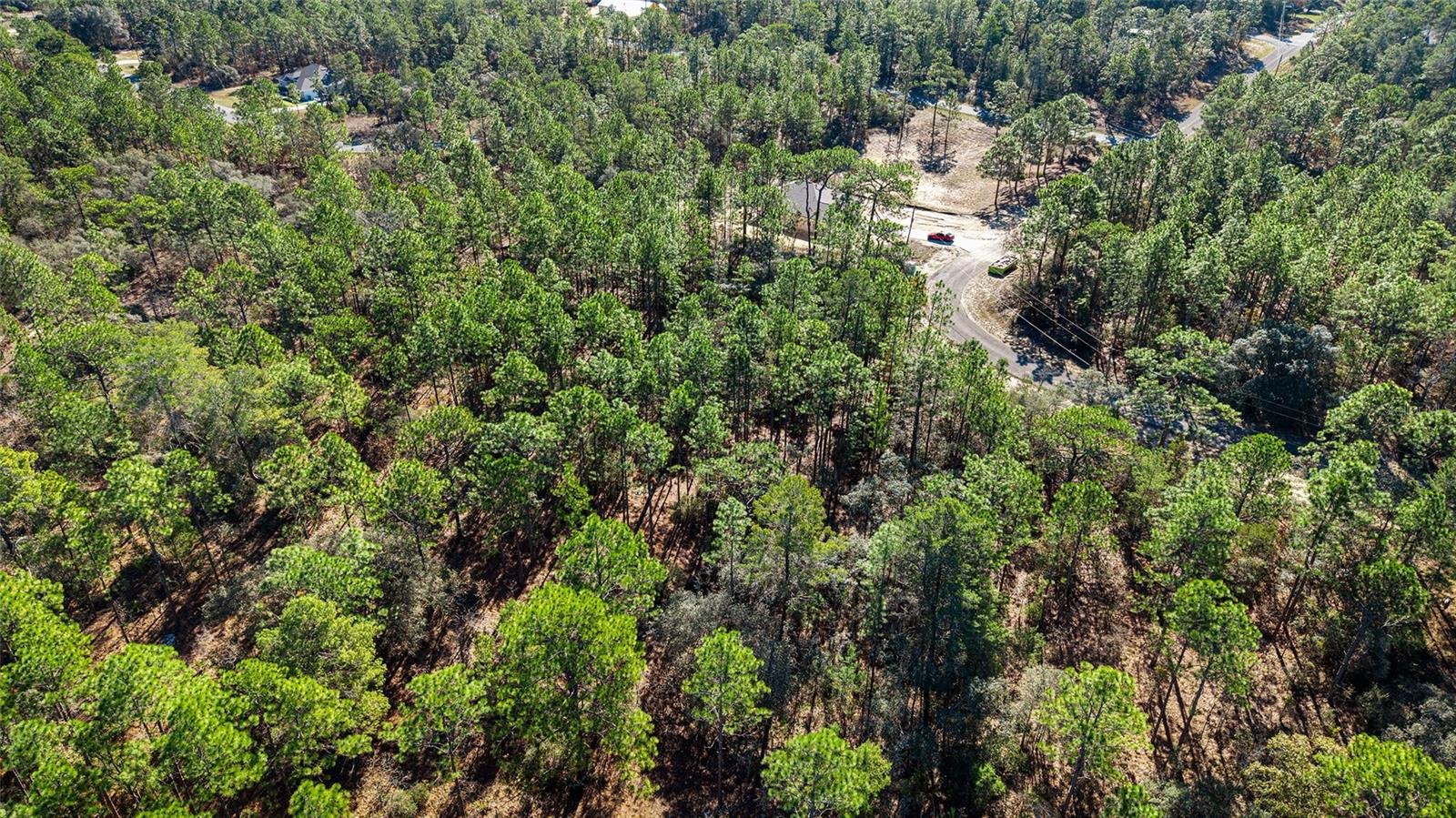 Image 6 of 10 For 8941 Farrington Drive