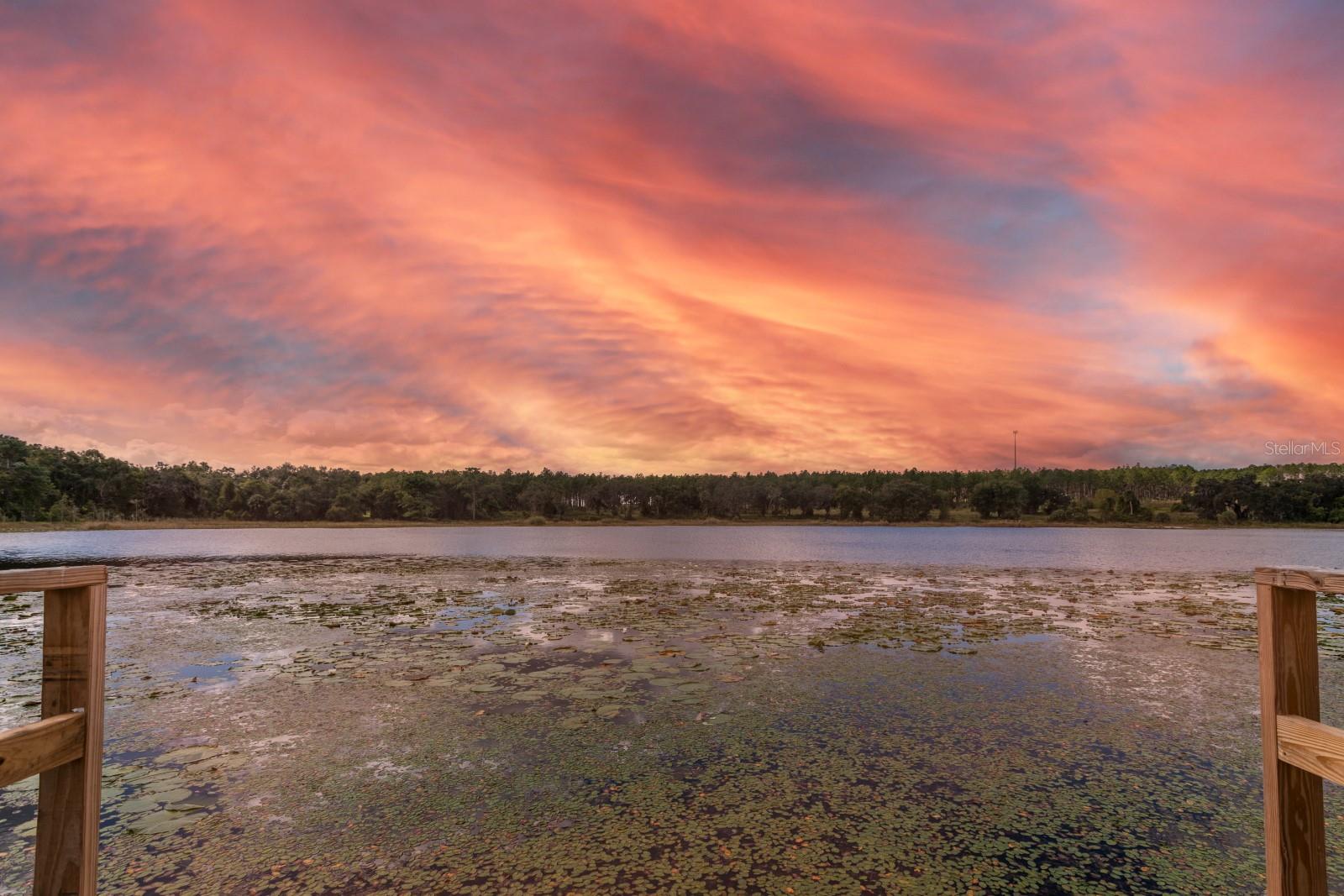 Details for 16758 181st Terrace, WEIRSDALE, FL 32195