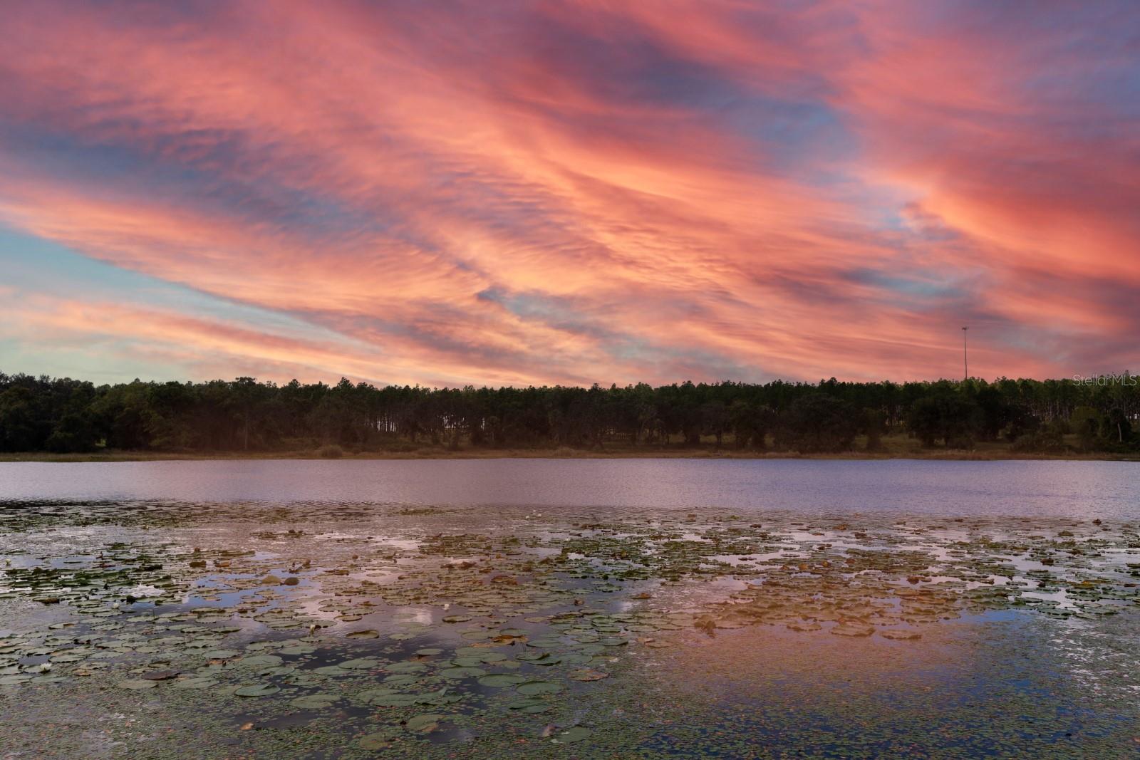 Image 29 of 43 For 16758 181st Terrace