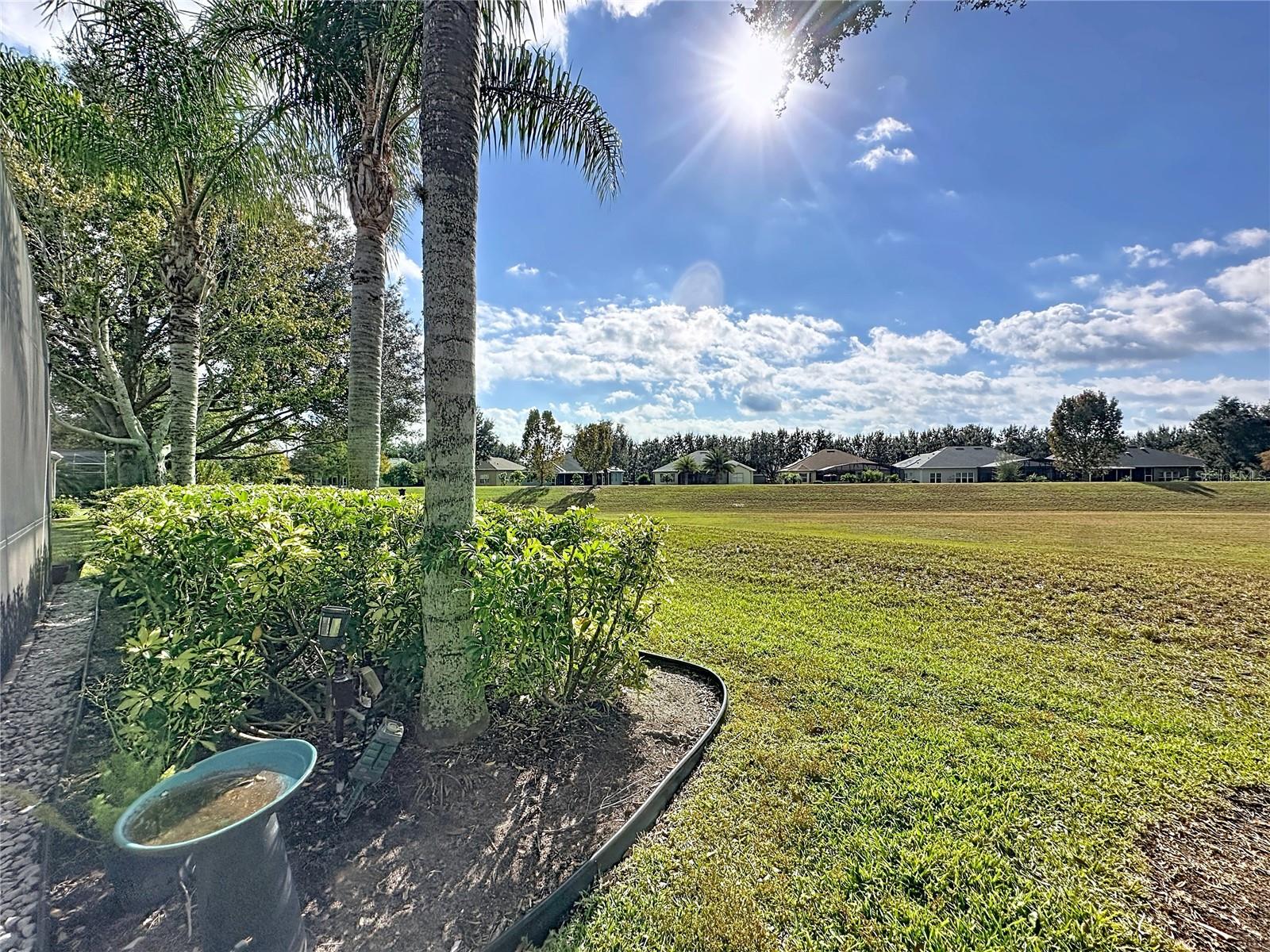 Image 47 of 80 For 146 Crepe Myrtle Drive