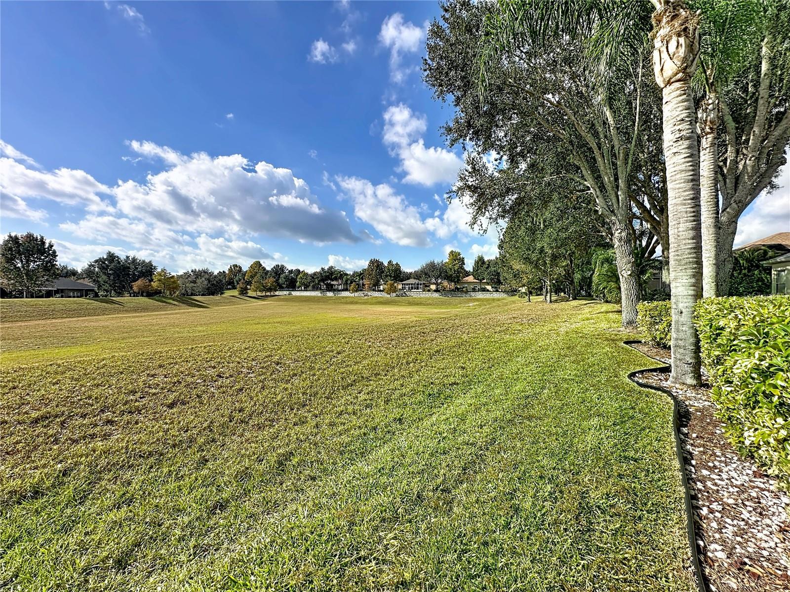 Image 48 of 80 For 146 Crepe Myrtle Drive