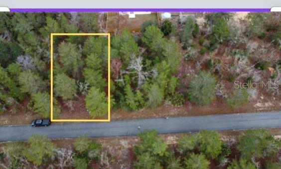 Details for Malauka Drive, OCKLAWAHA, FL 32179