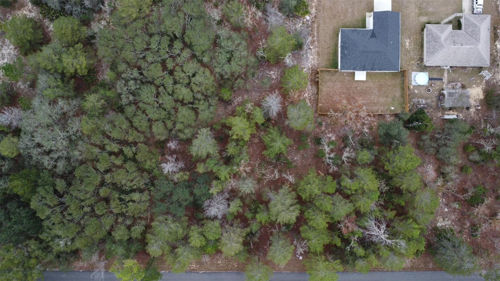 Image 5 of 9 For Malauka Drive