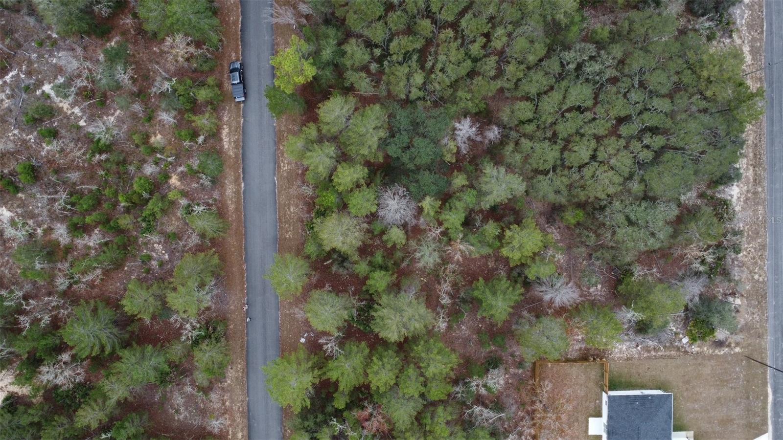 Image 6 of 9 For Malauka Drive