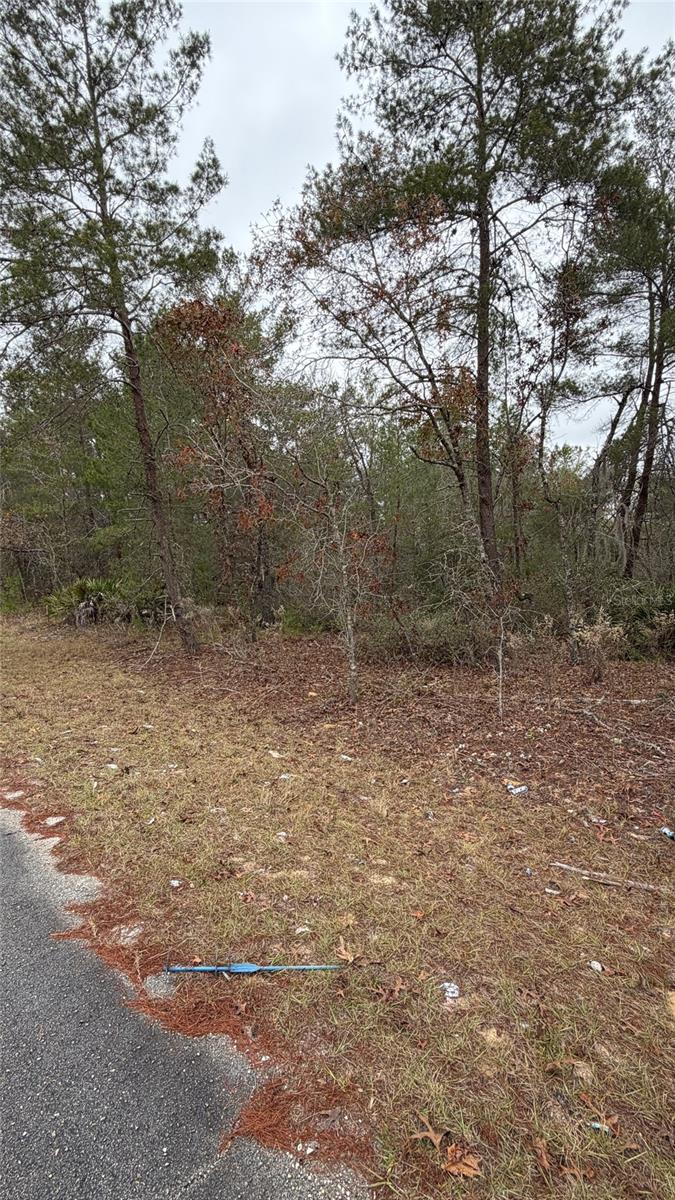 Image 7 of 9 For Malauka Drive