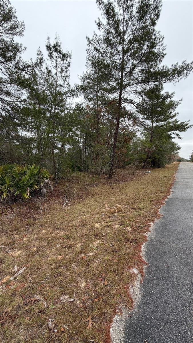 Image 8 of 9 For Malauka Drive