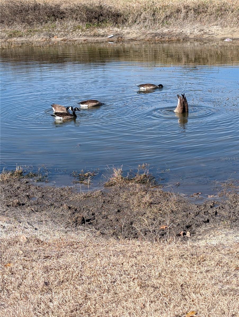 Image 36 of 47 For 9980 176th Street