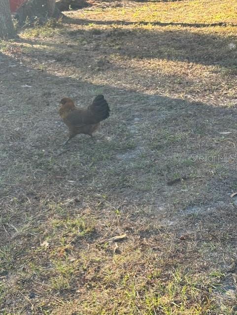 Image 9 of 10 For 12512 Cr 685