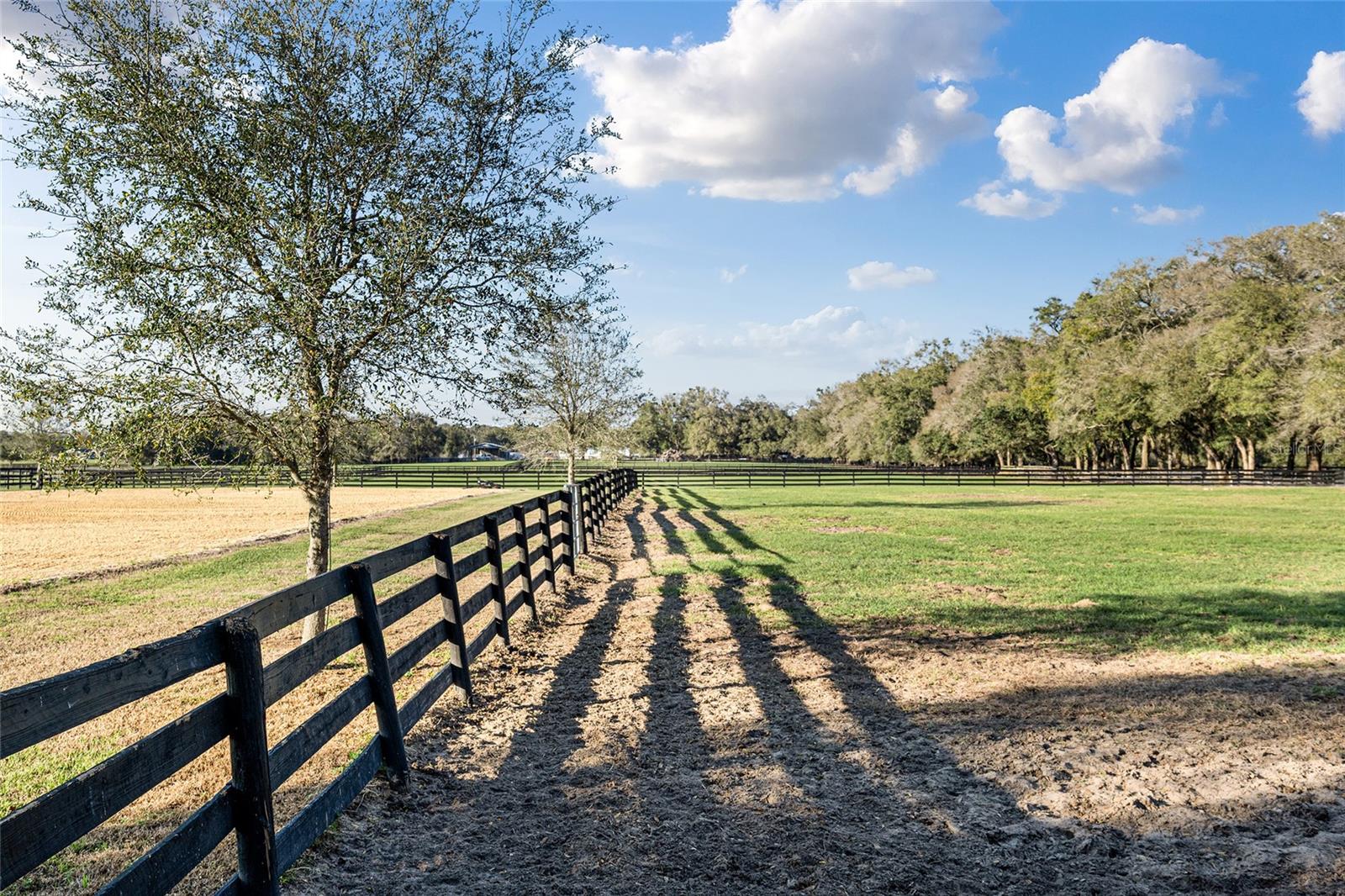 Image 19 of 63 For 815 145th Street