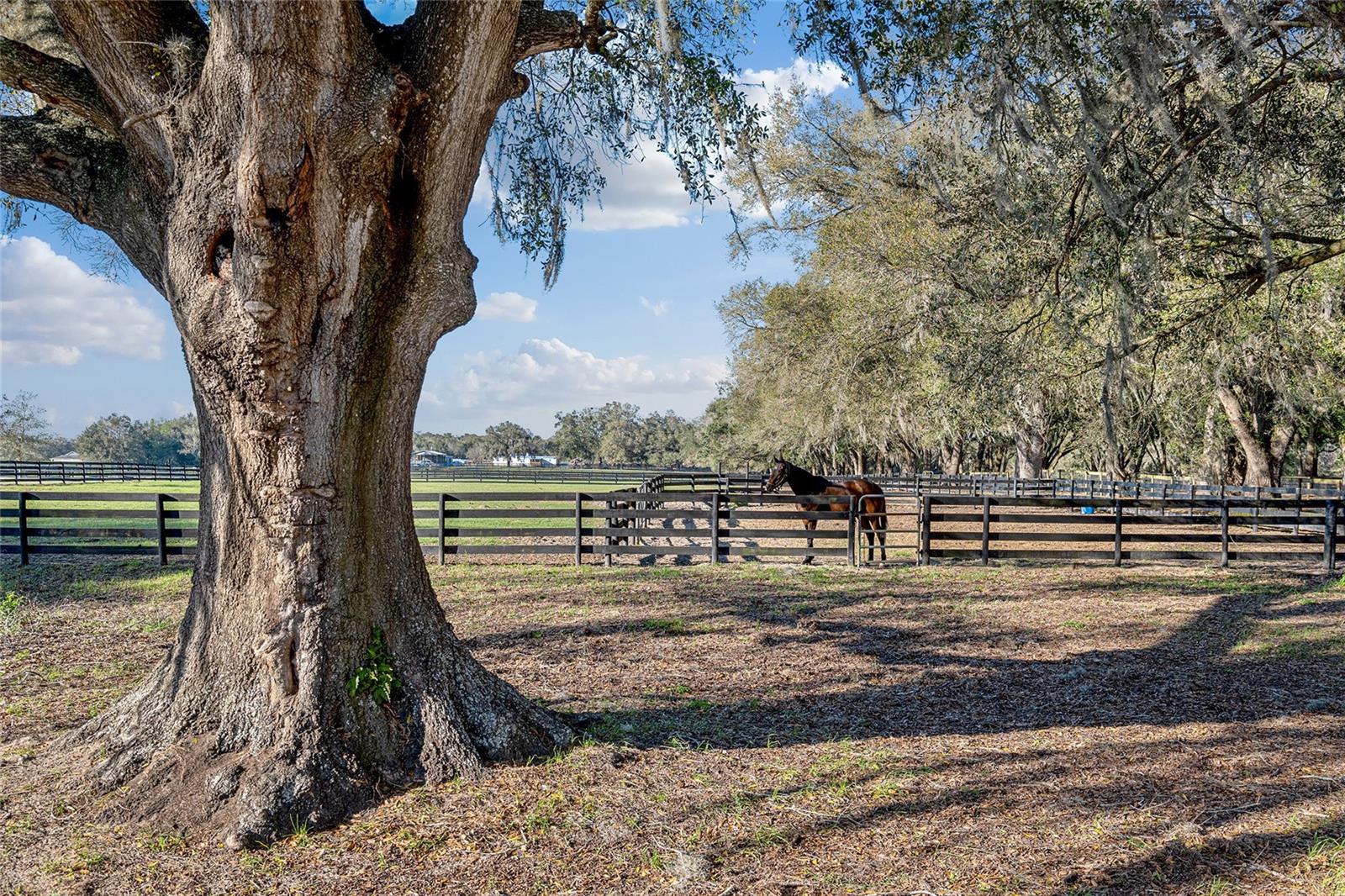 Image 2 of 63 For 815 145th Street