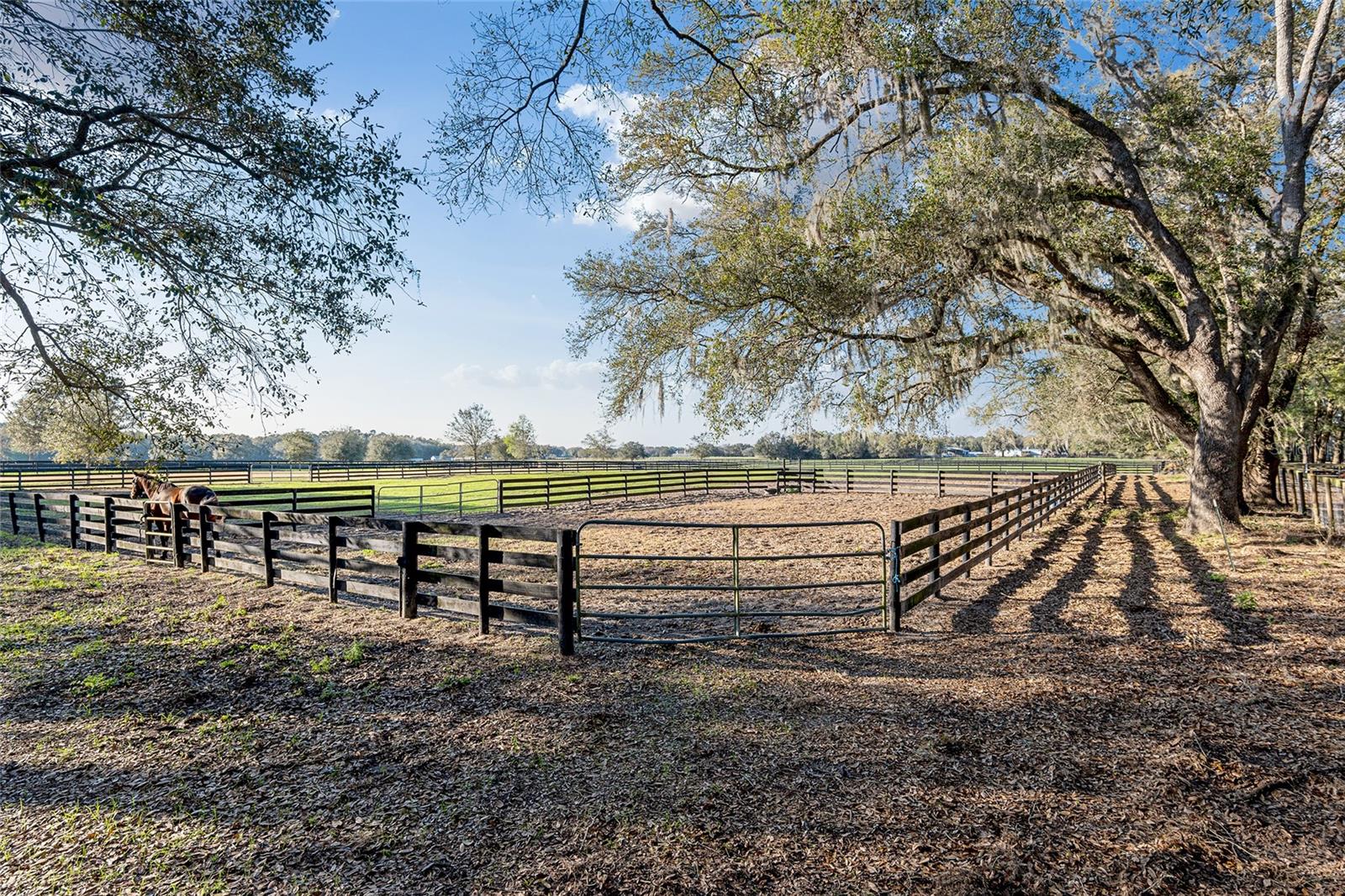 Image 22 of 63 For 815 145th Street