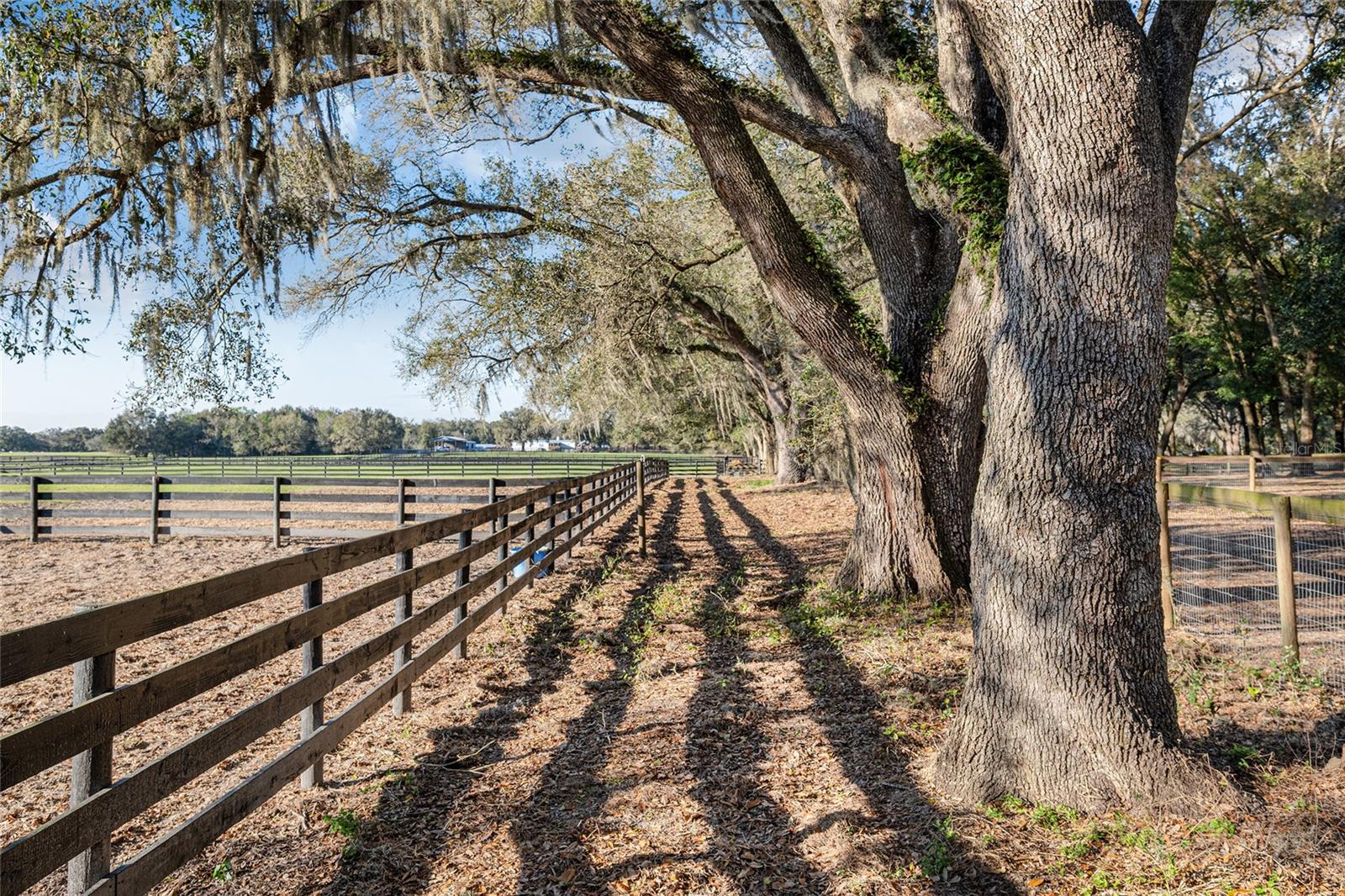 Image 23 of 63 For 815 145th Street