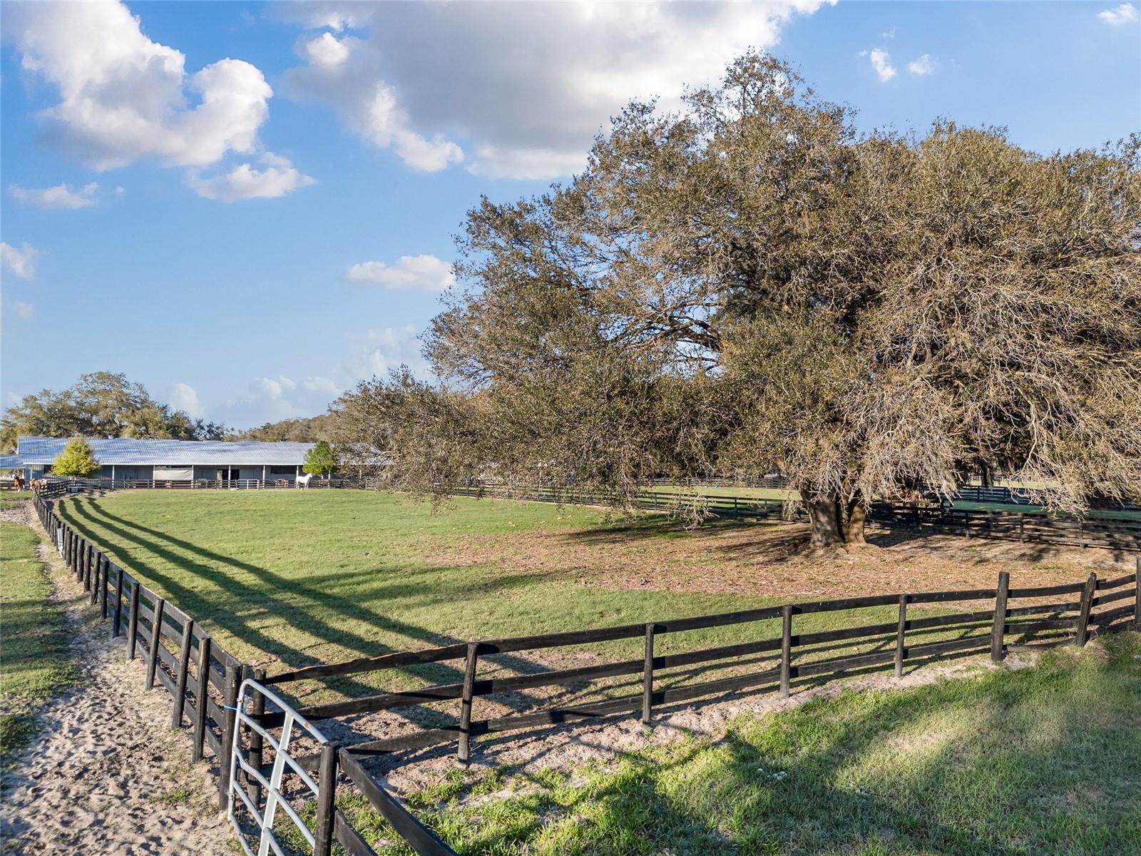 Image 52 of 63 For 815 145th Street