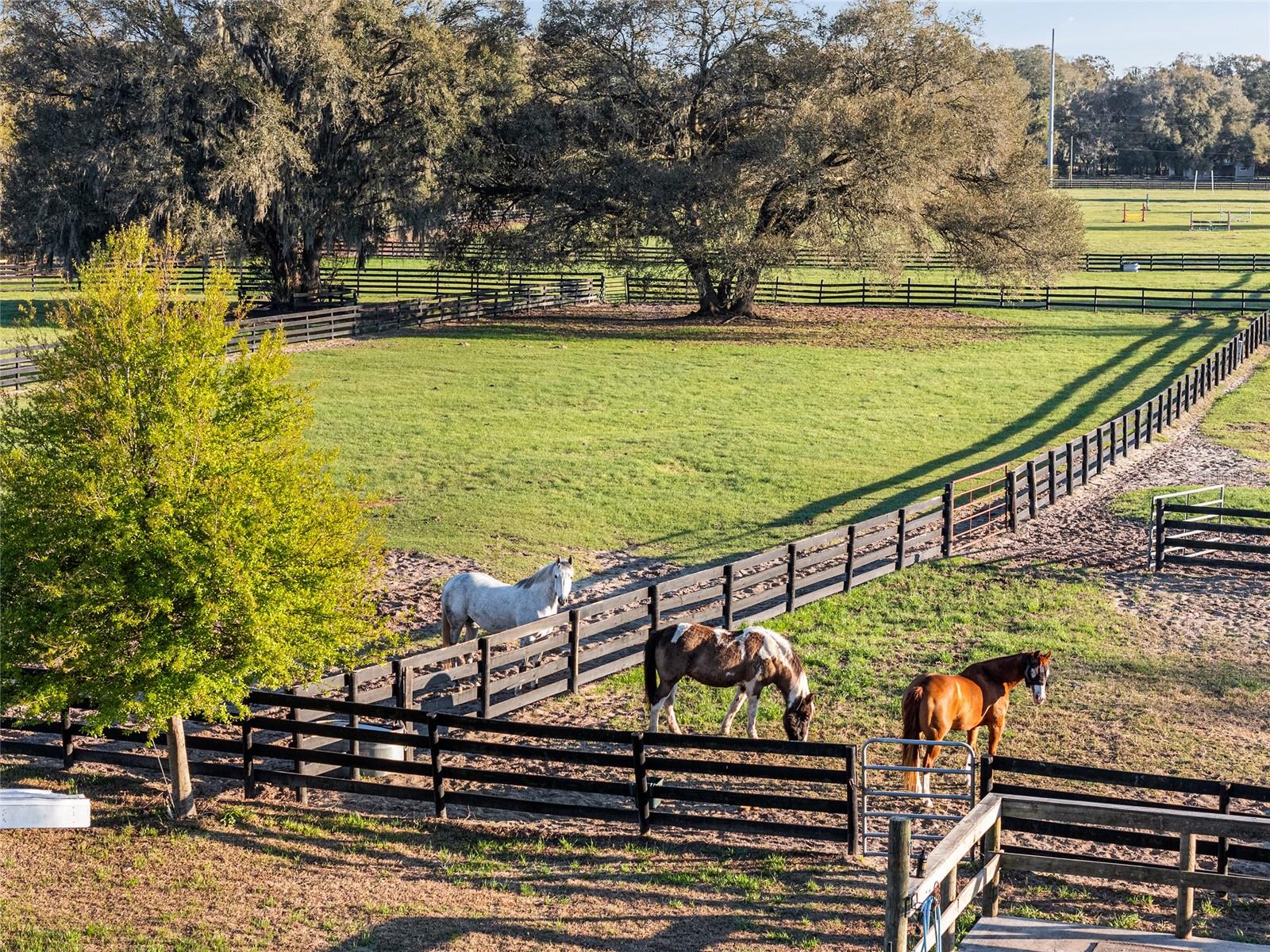 Image 56 of 63 For 815 145th Street