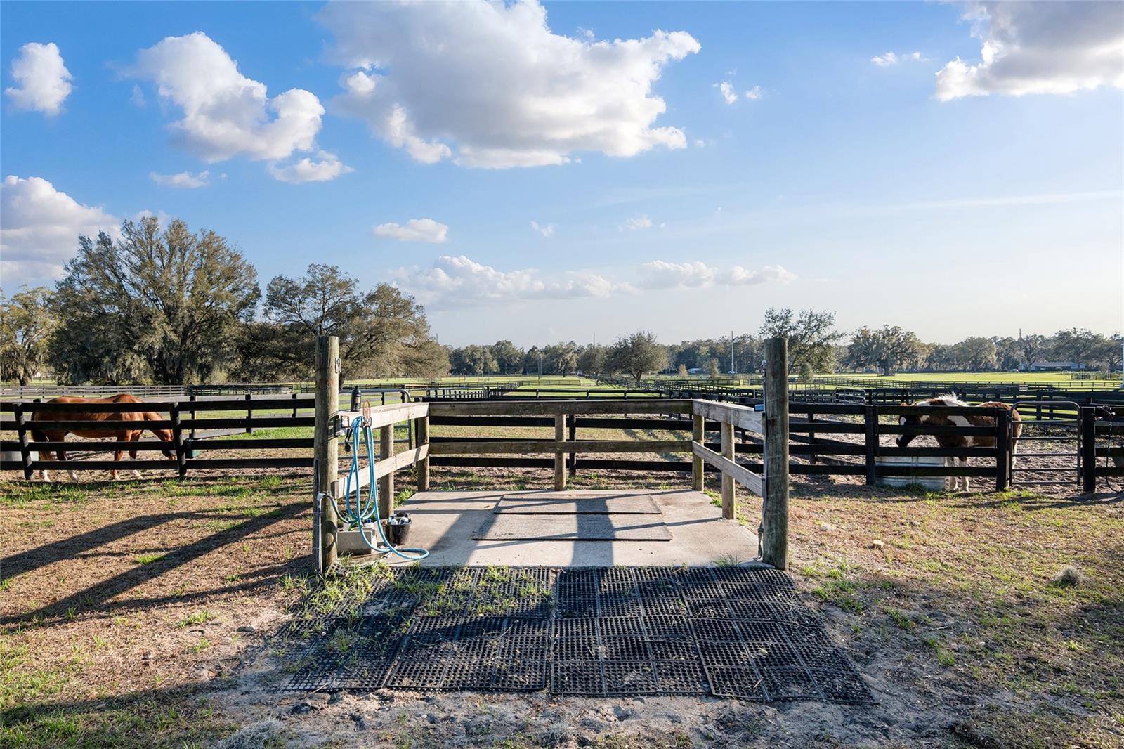 Image 8 of 63 For 815 145th Street