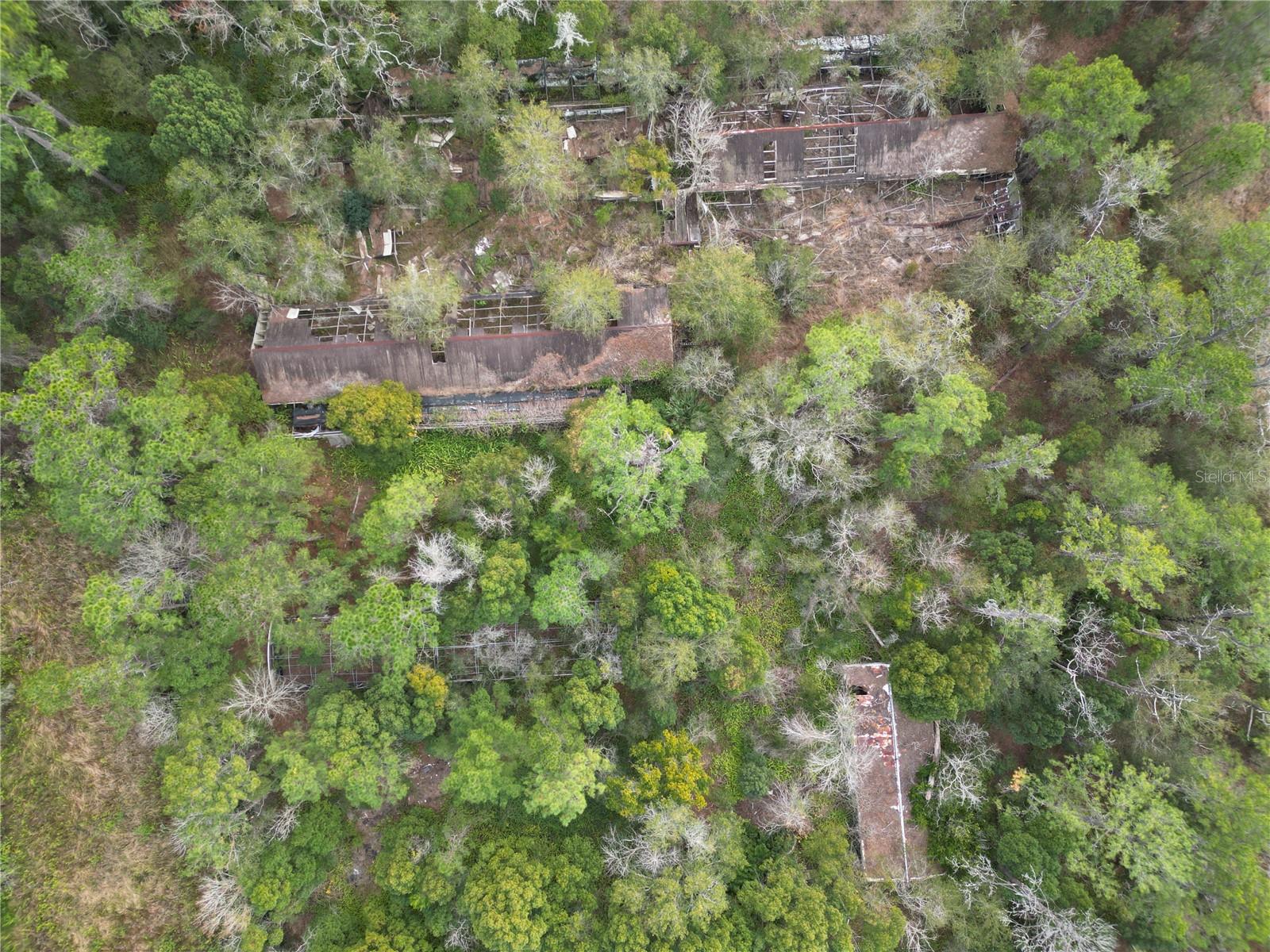 Image 2 of 9 For 36242 County Road 439