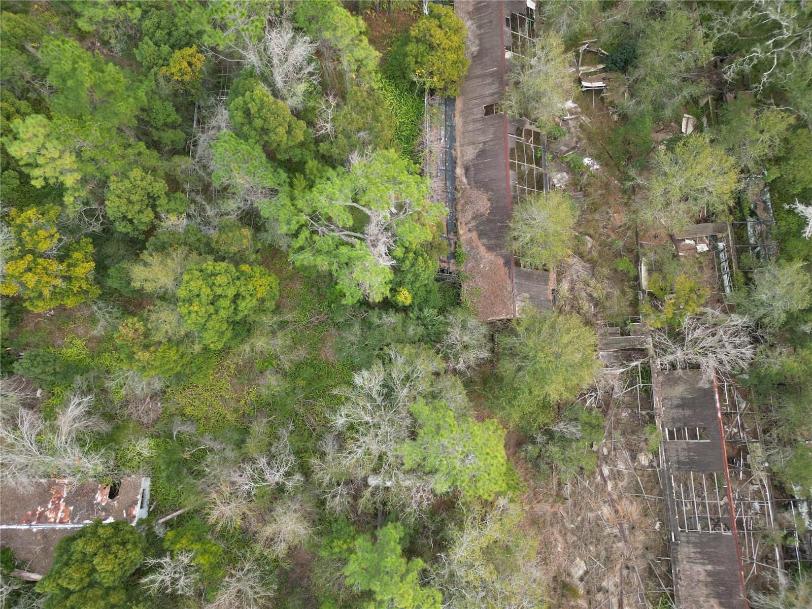 Image 4 of 9 For 36242 County Road 439