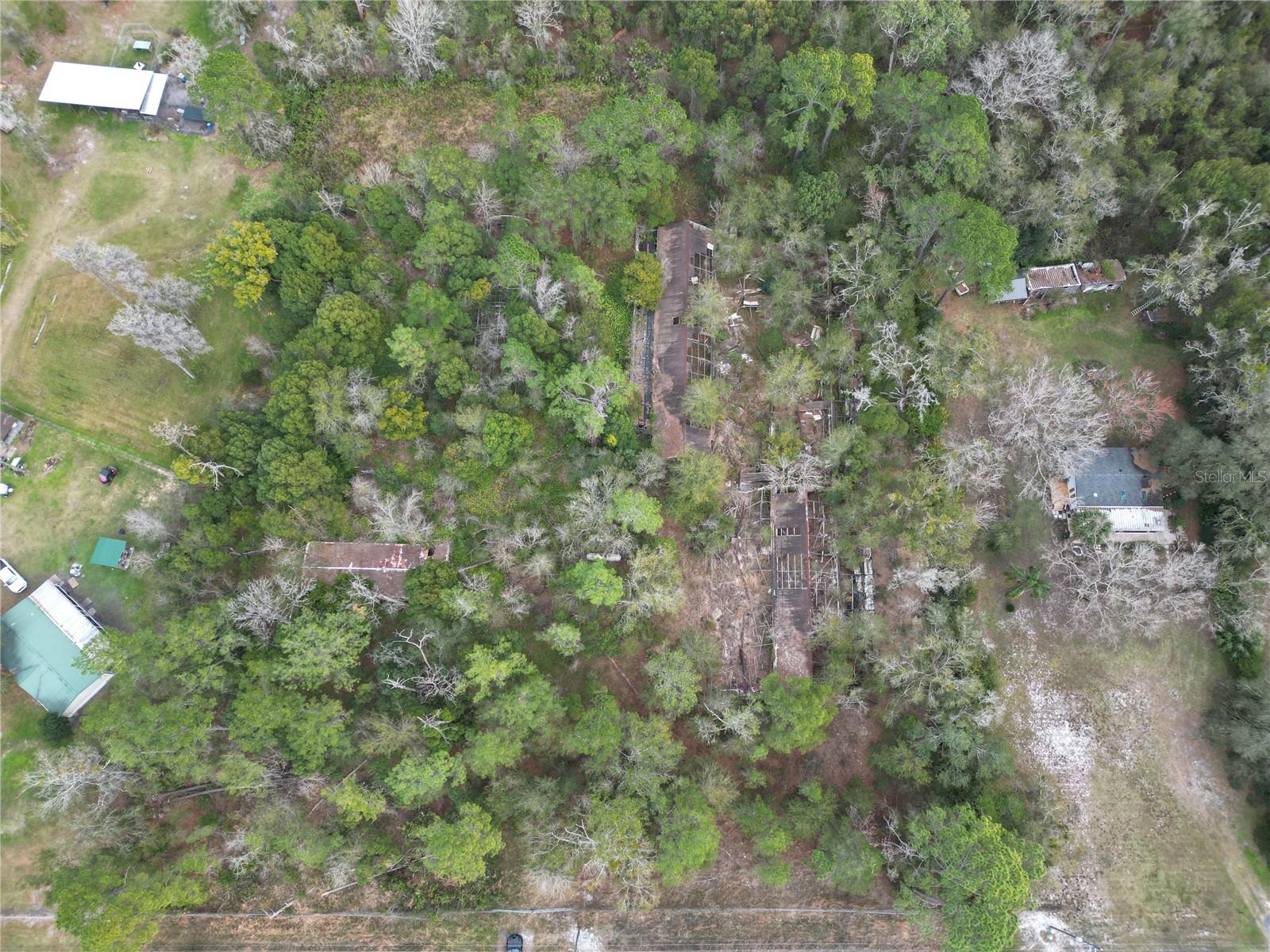 Image 6 of 9 For 36242 County Road 439