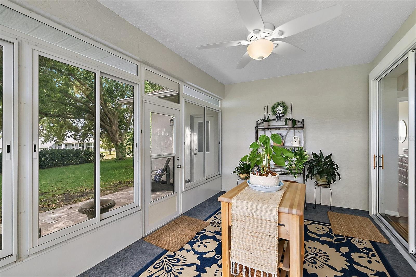 Image 31 of 49 For 3584 Tropical Seas Loop