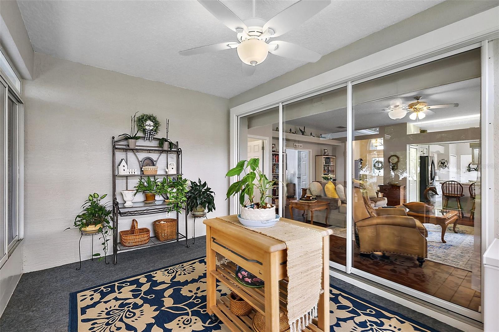 Image 32 of 49 For 3584 Tropical Seas Loop