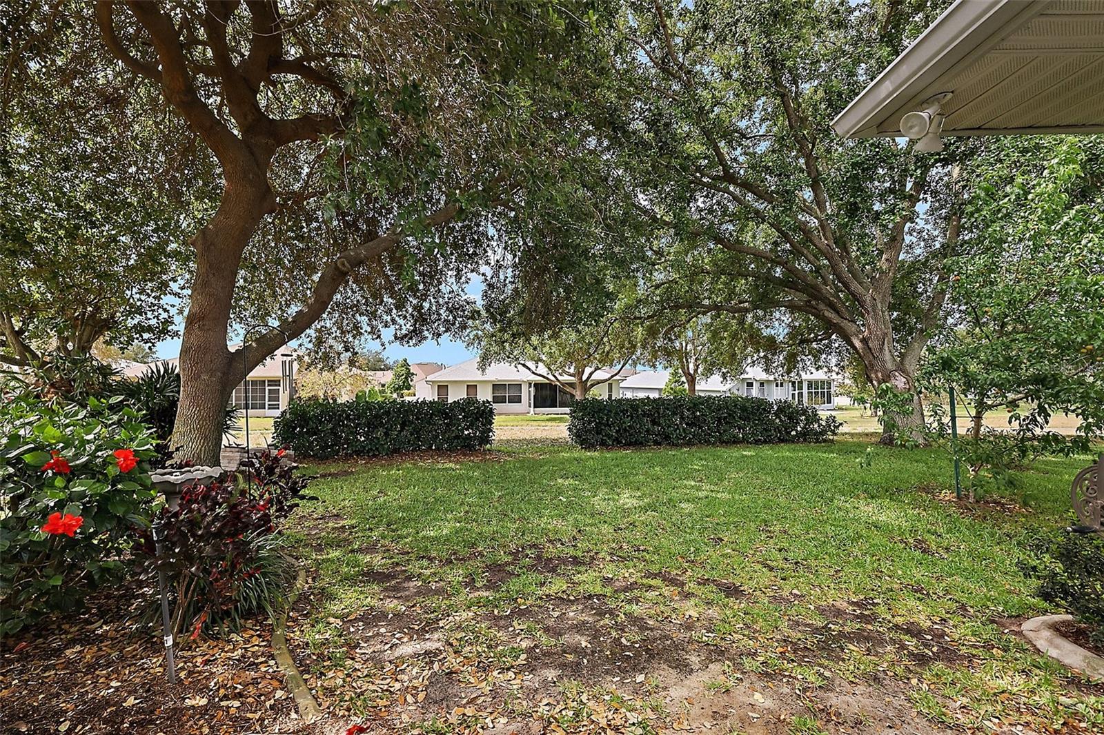 Image 39 of 49 For 3584 Tropical Seas Loop