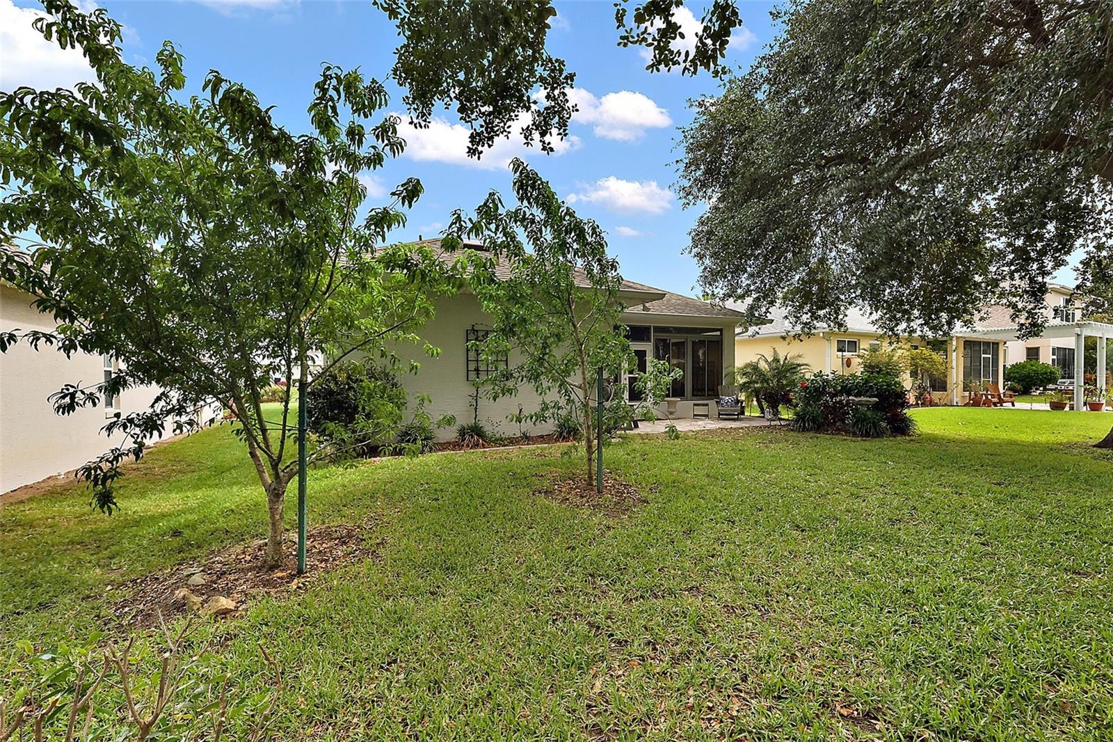 Image 40 of 49 For 3584 Tropical Seas Loop