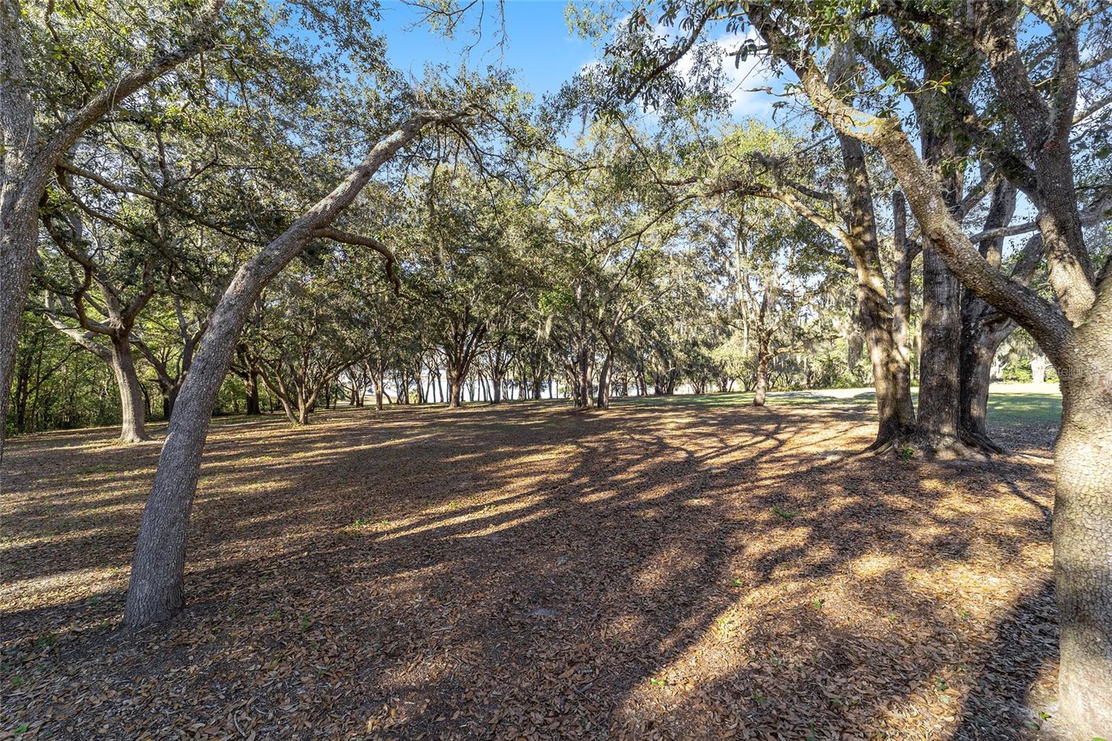 Image 85 of 95 For 11638 101st Court Road