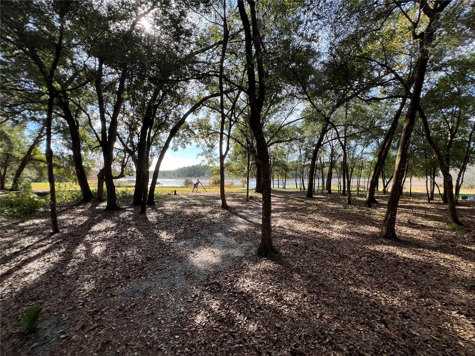 Image 4 of 19 For 36338 Spring Lake Boulevard