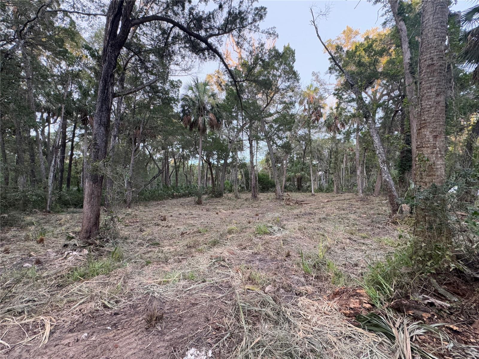 Image 2 of 22 For 11905 Eldred Lane