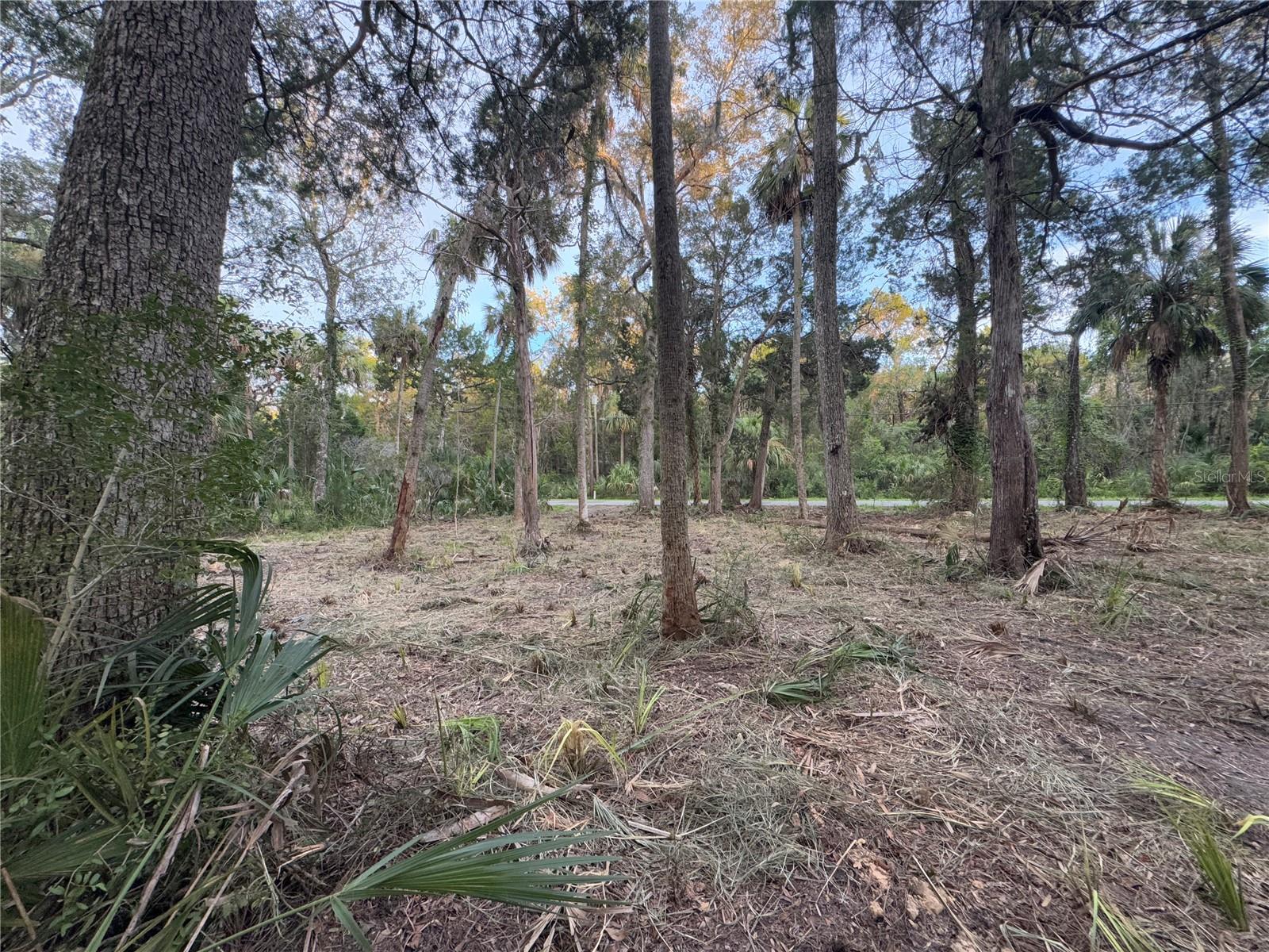 Image 5 of 22 For 11905 Eldred Lane