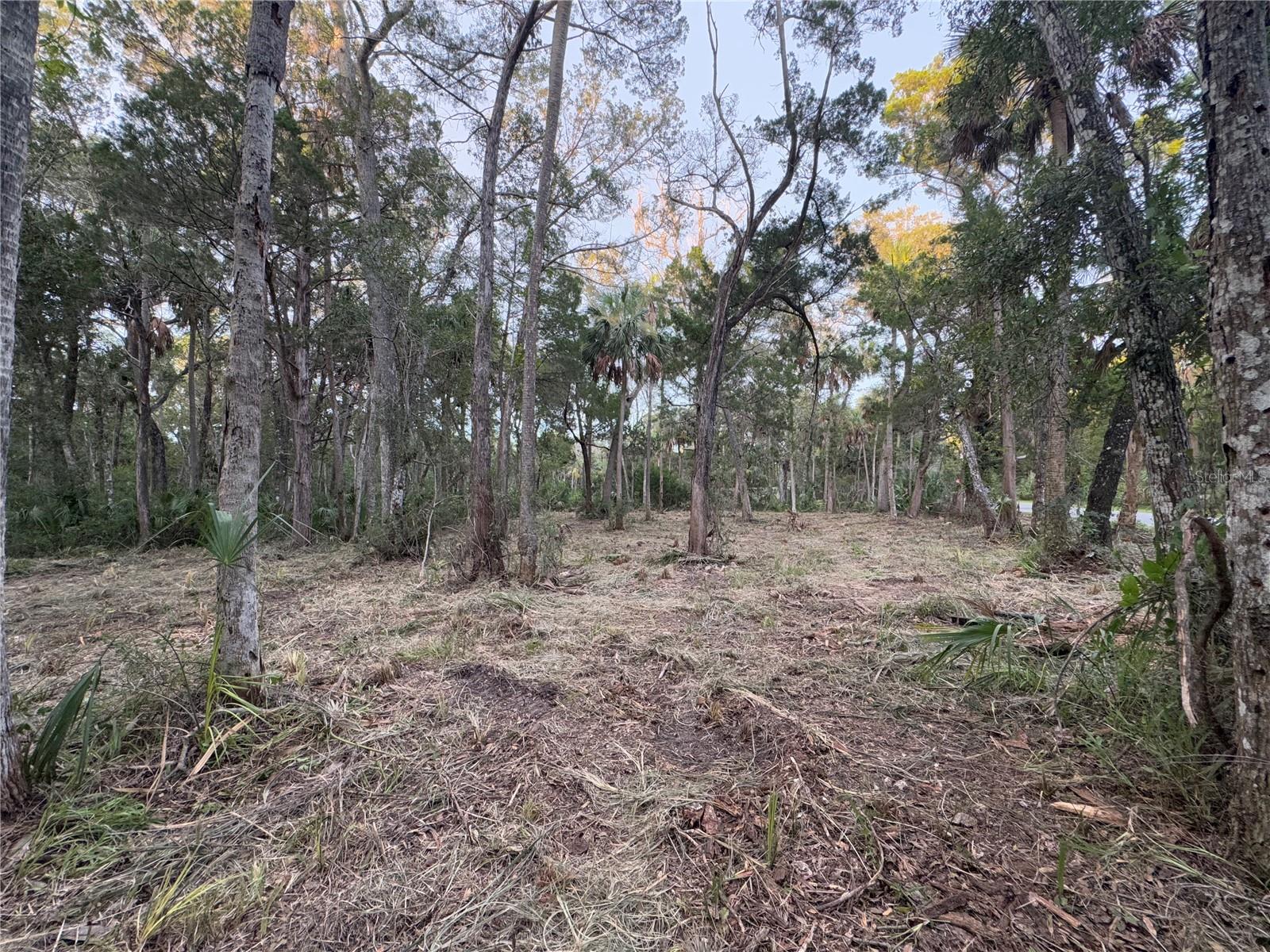 Image 6 of 22 For 11905 Eldred Lane