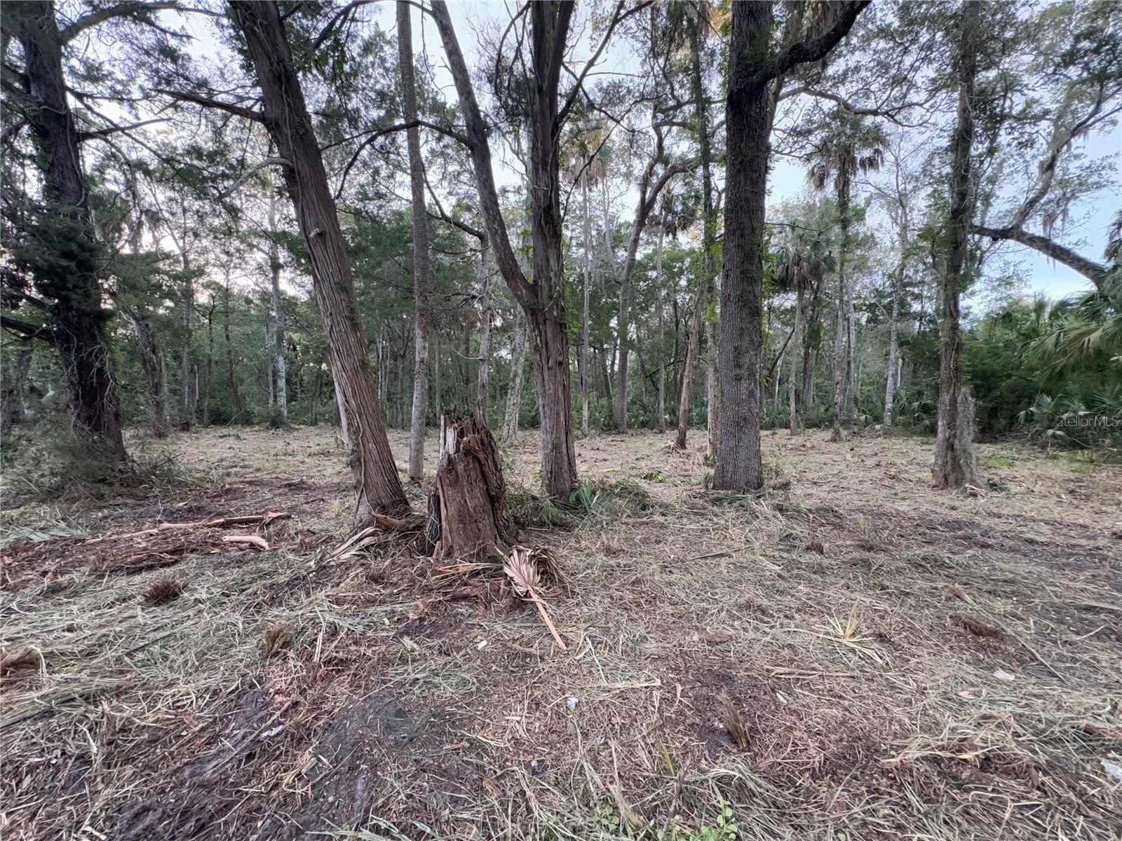 Image 7 of 22 For 11905 Eldred Lane