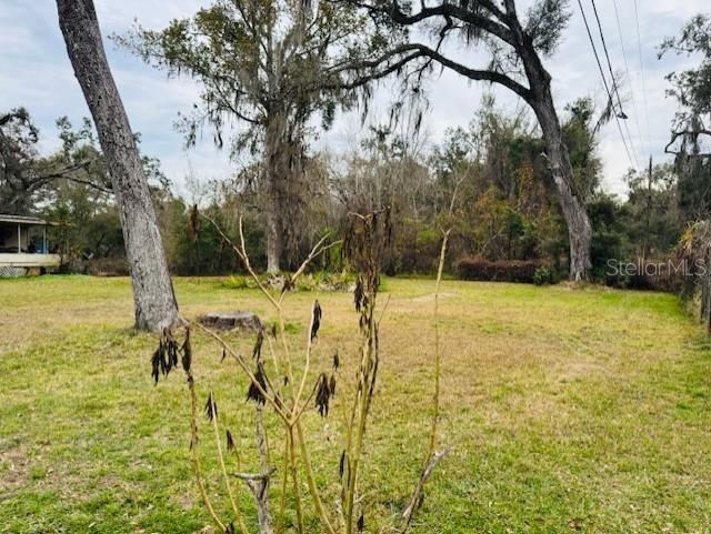 Image 3 of 32 For 11417 42nd Terrace