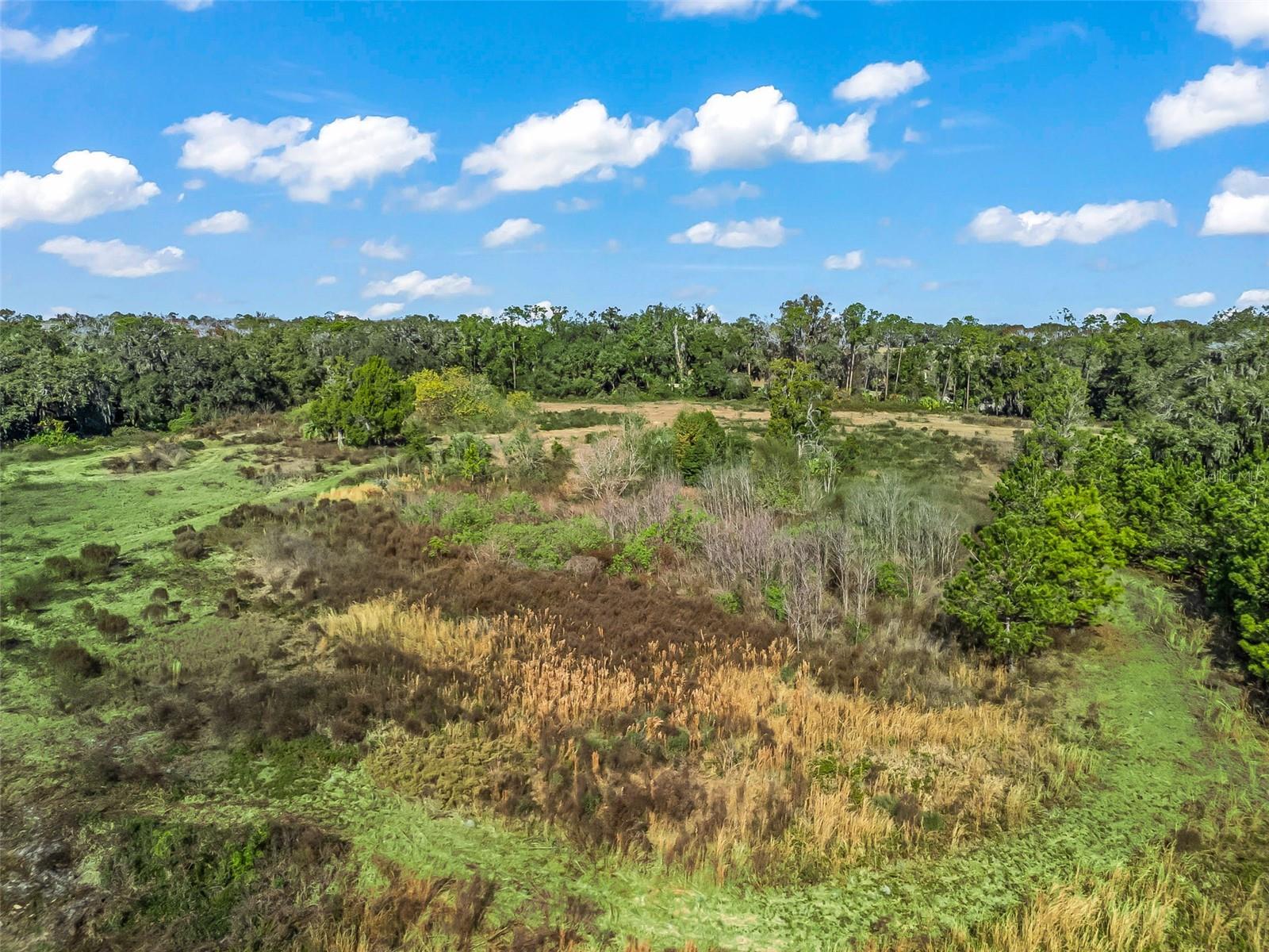 Image 5 of 16 For 2082 44-a  