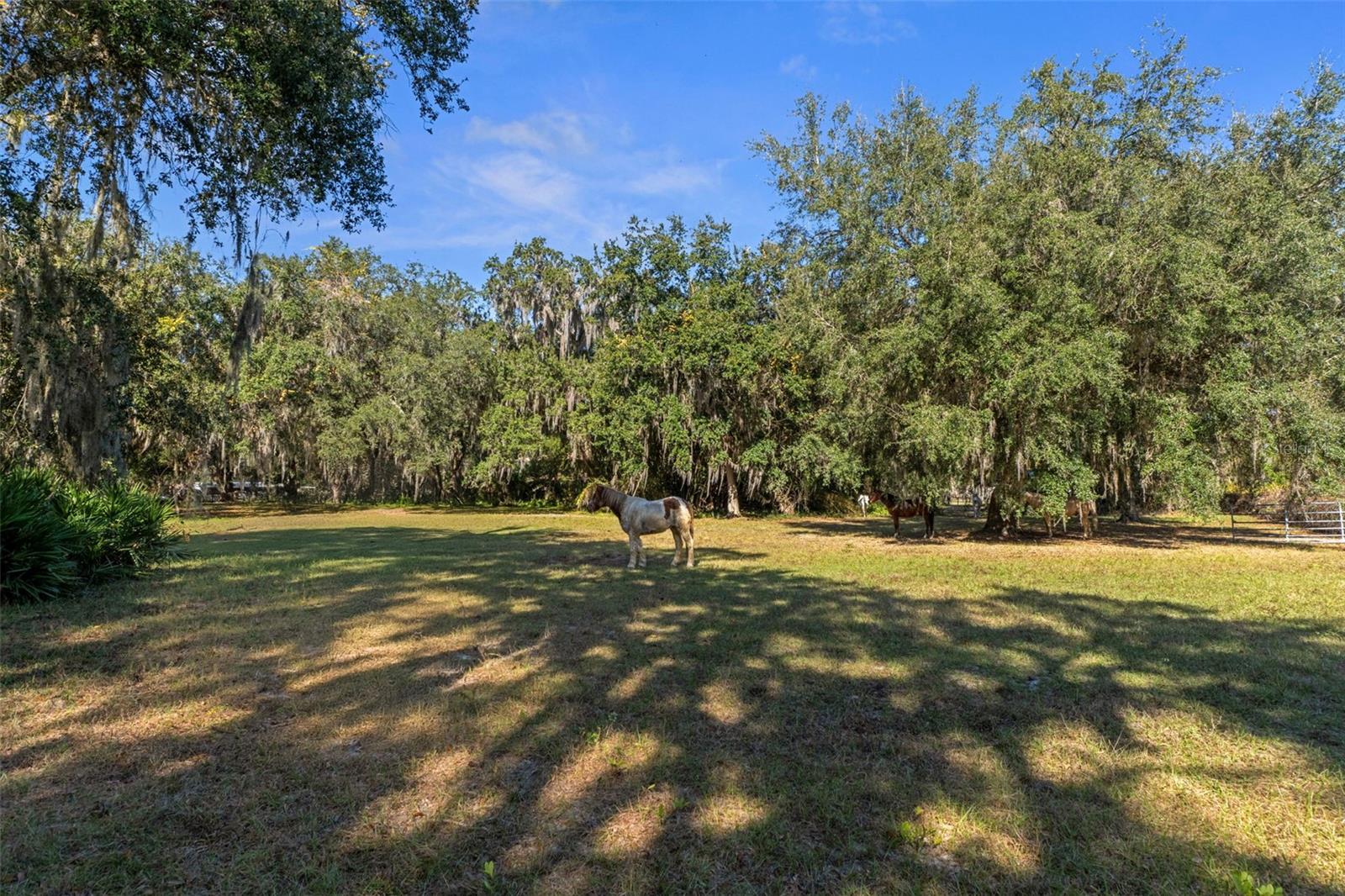 Image 79 of 82 For 27910 & 27750 Debbie Road