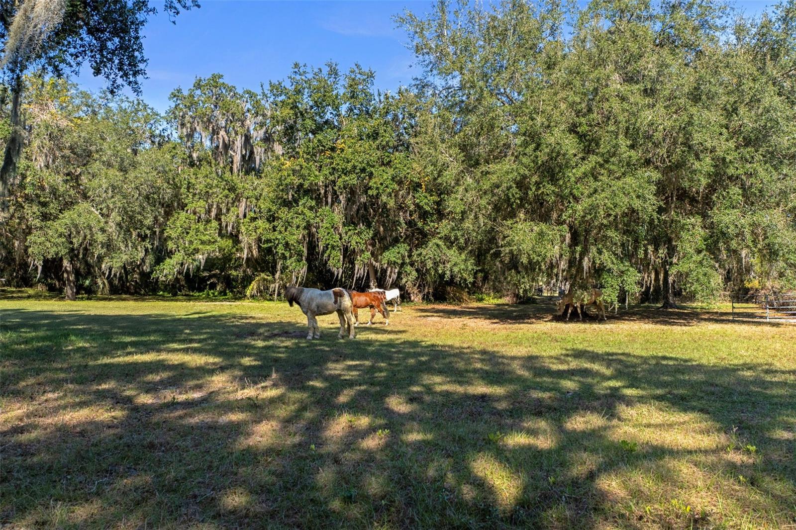 Image 80 of 82 For 27910 & 27750 Debbie Road