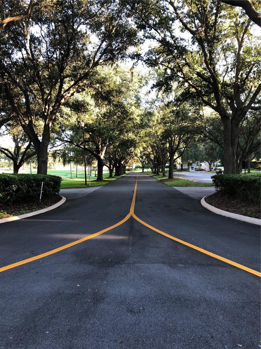 Image 79 of 100 For 25100 Pine Hill