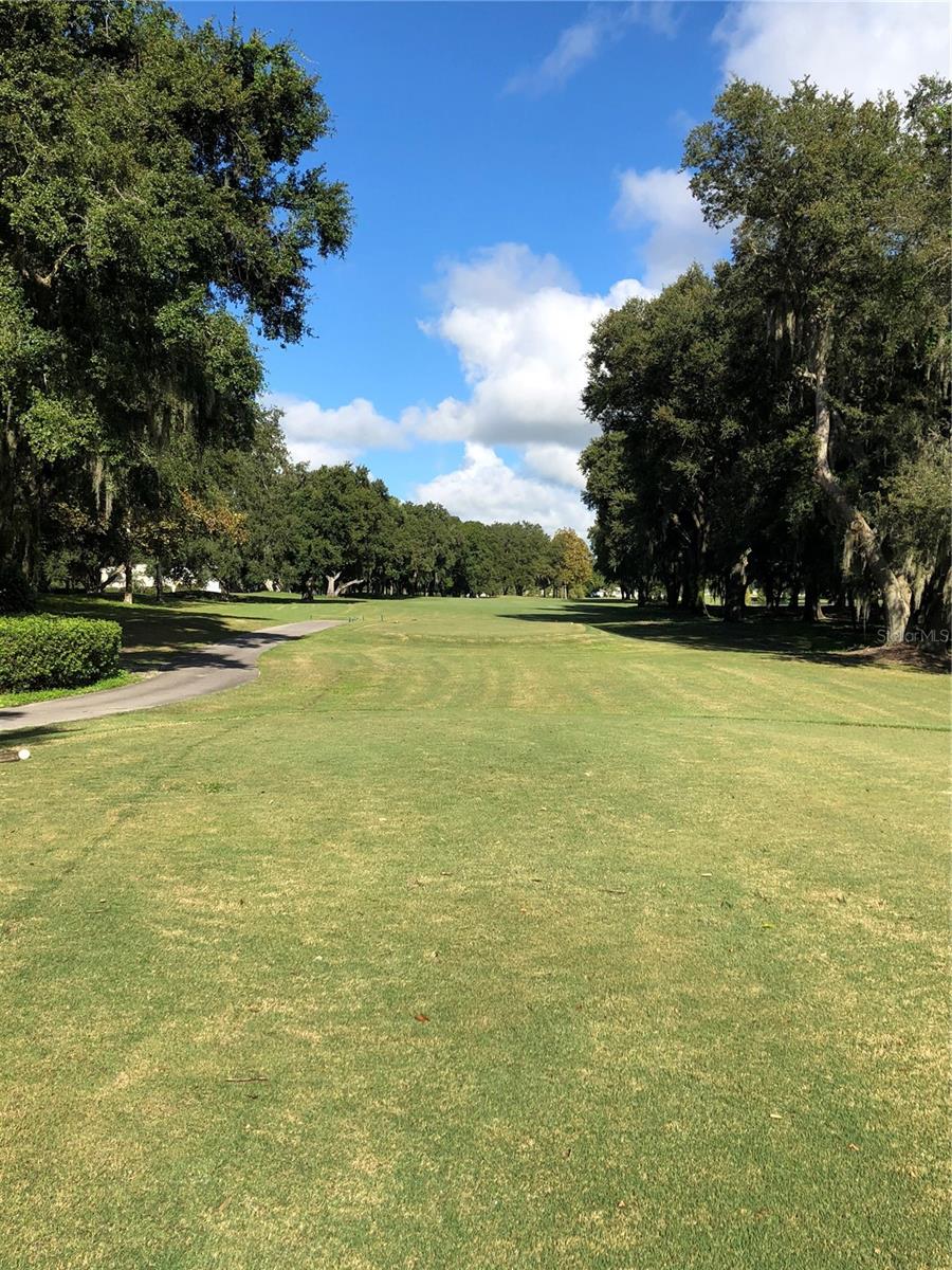 Image 96 of 100 For 25100 Pine Hill