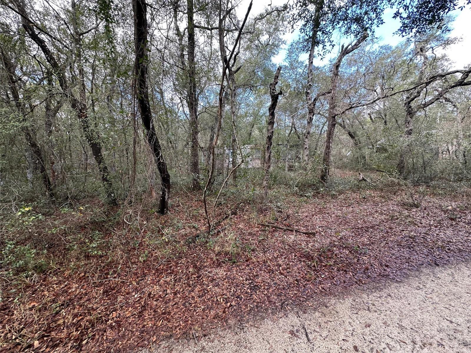 Image 2 of 5 For 9280 194th Court