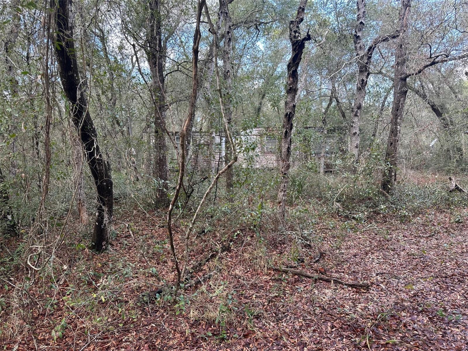 Image 3 of 5 For 9280 194th Court