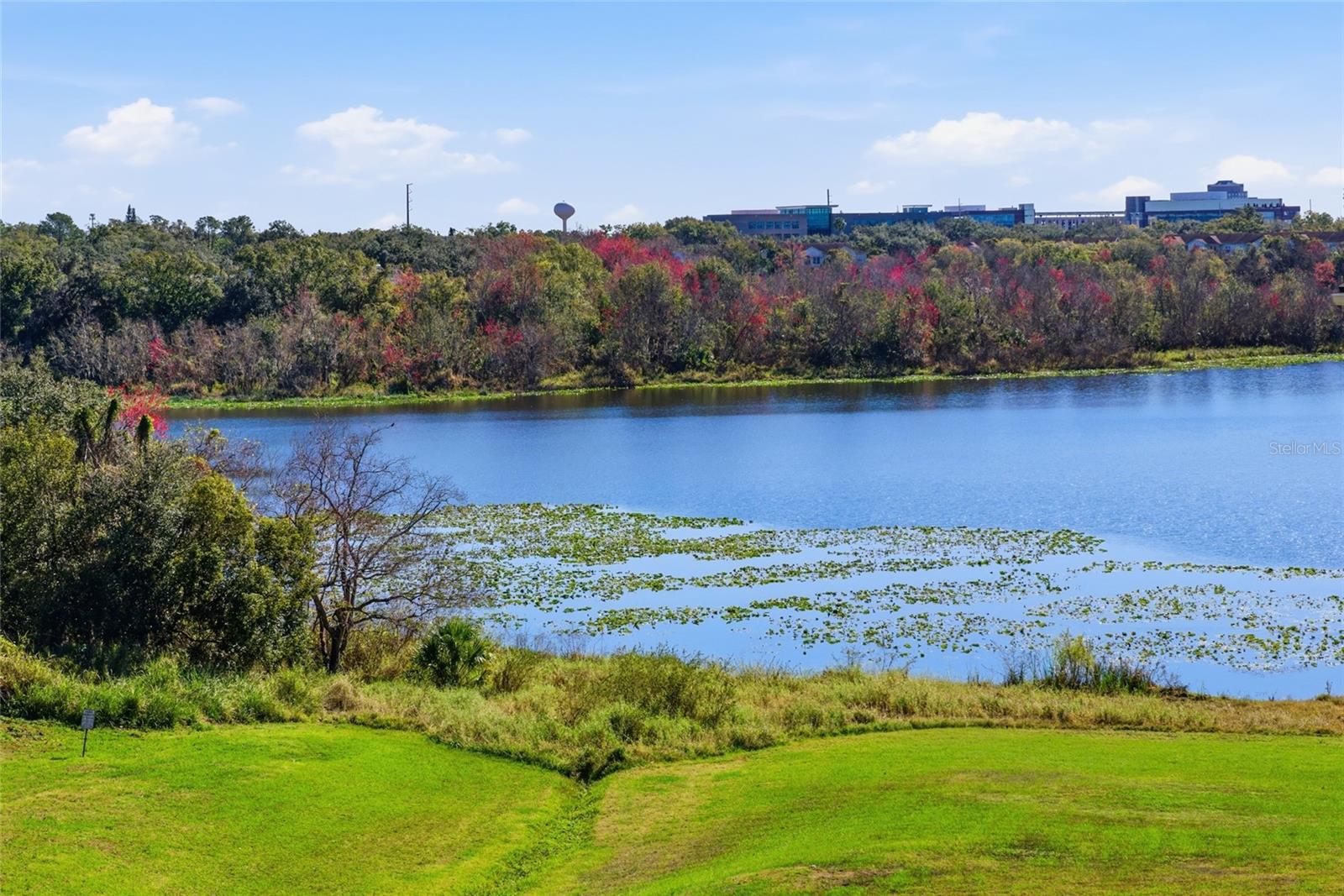 Image 26 of 35 For 1064 Lotus Parkway 944