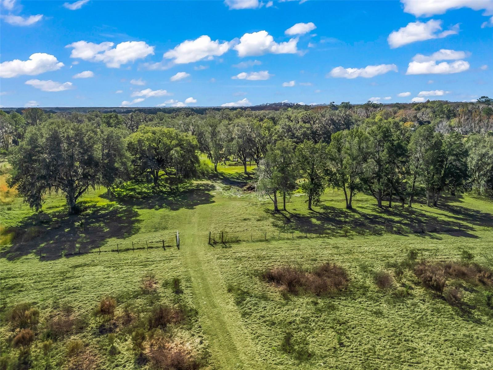 Image 12 of 19 For 2082 C 44a  