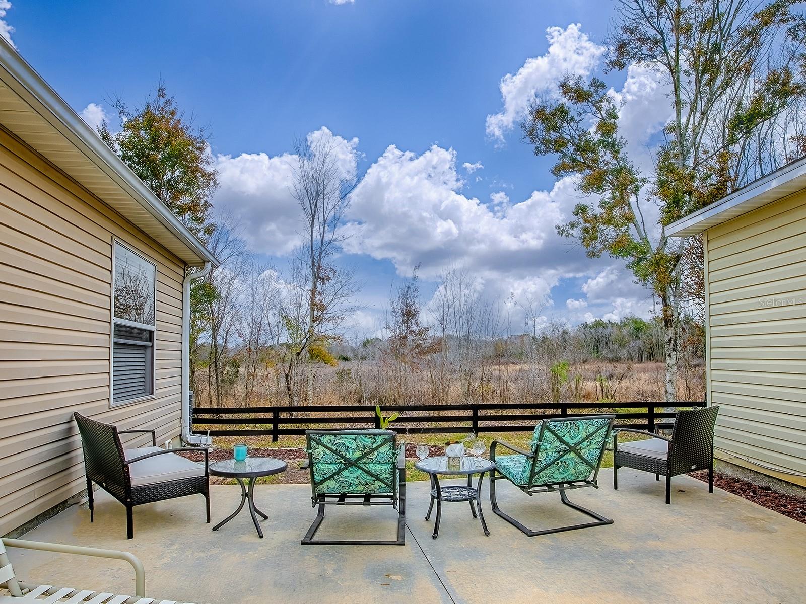 Details for 221 Montoya Drive, THE VILLAGES, FL 32159