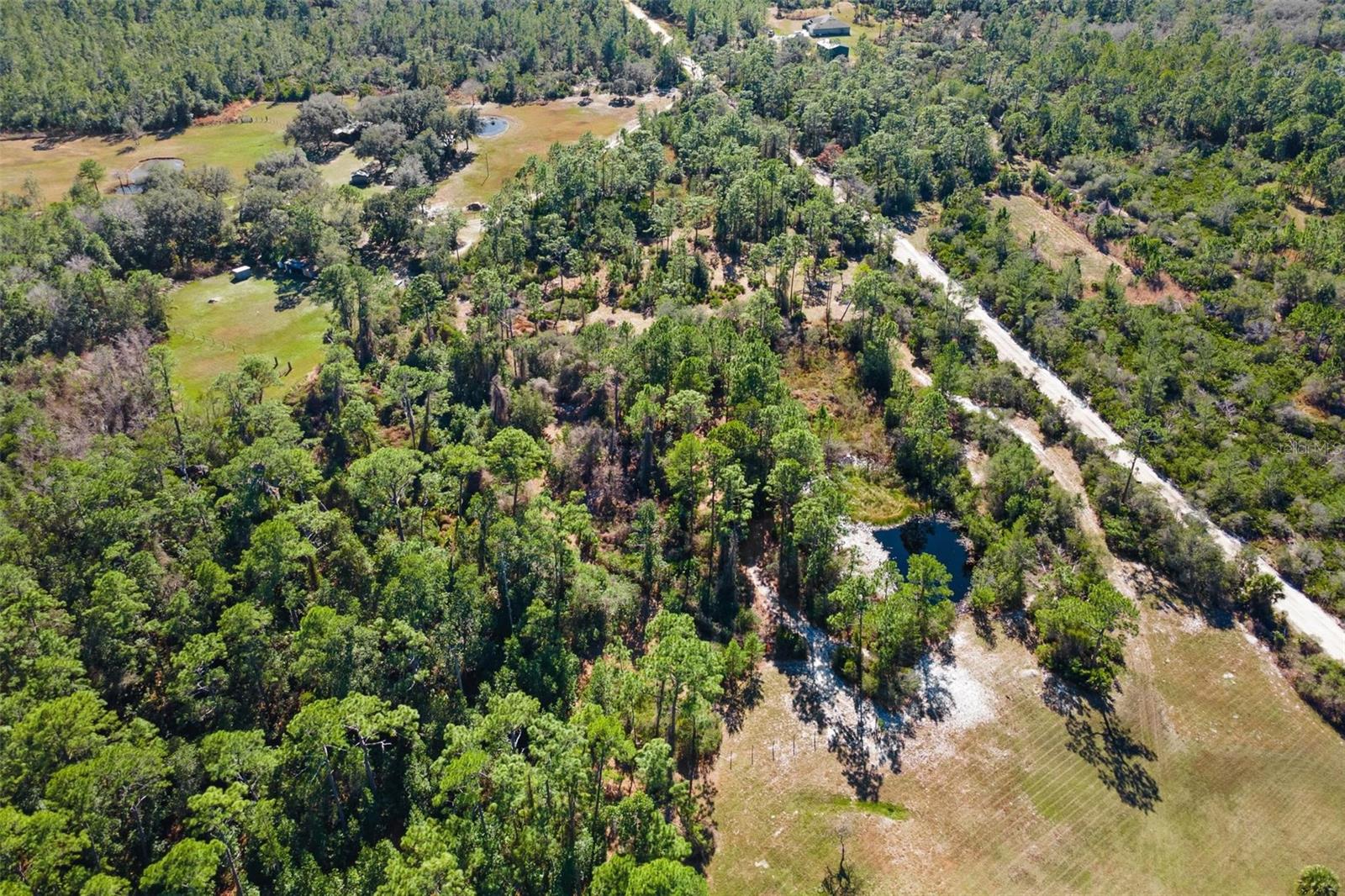 Image 5 of 79 For 233 Azalea Lane