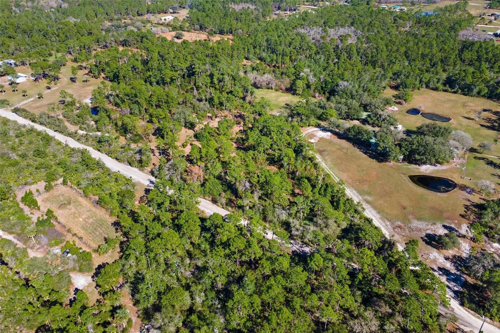 Image 76 of 79 For 233 Azalea Lane