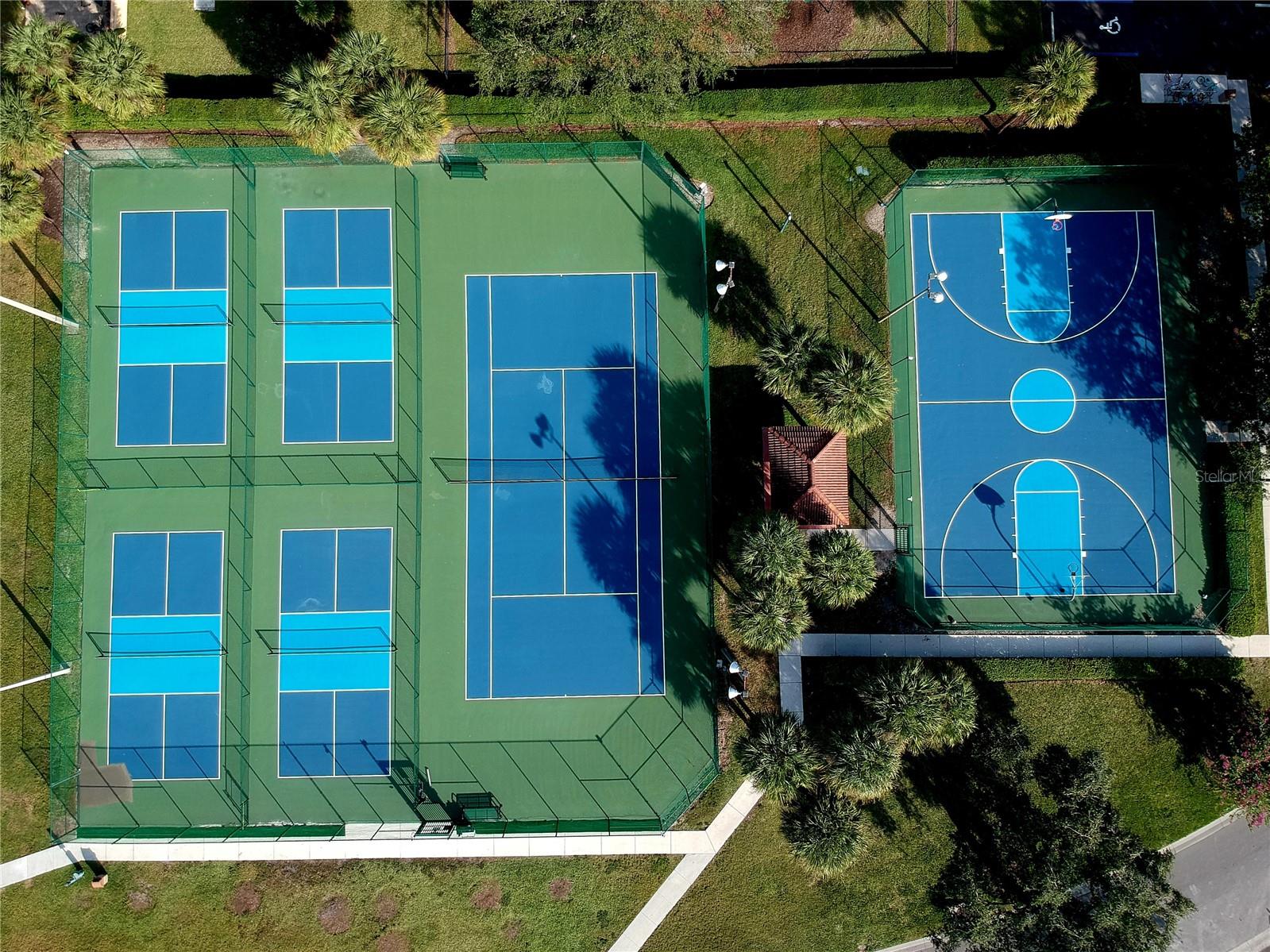 Image 12 of 100 For 285 Spider Lily Lane