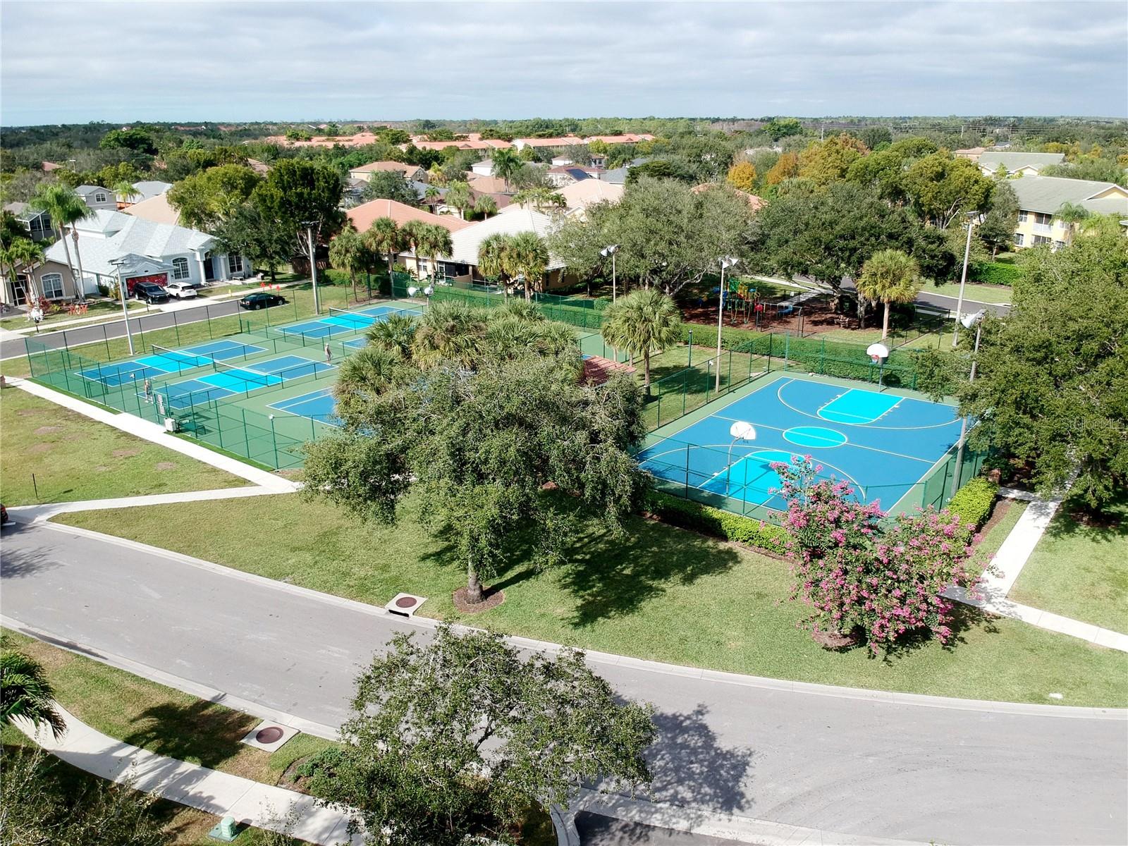 Image 13 of 100 For 285 Spider Lily Lane