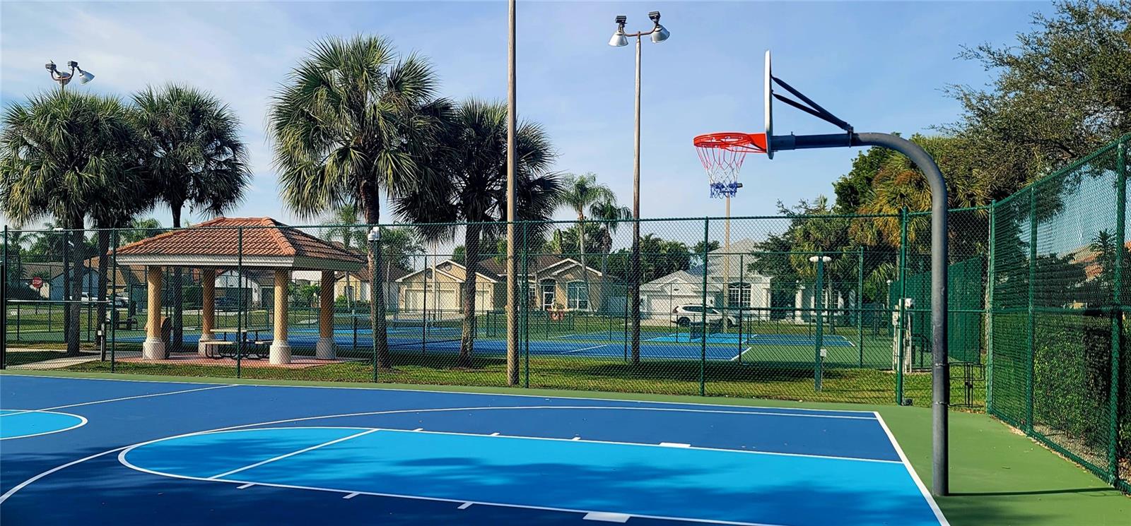 Image 9 of 100 For 285 Spider Lily Lane