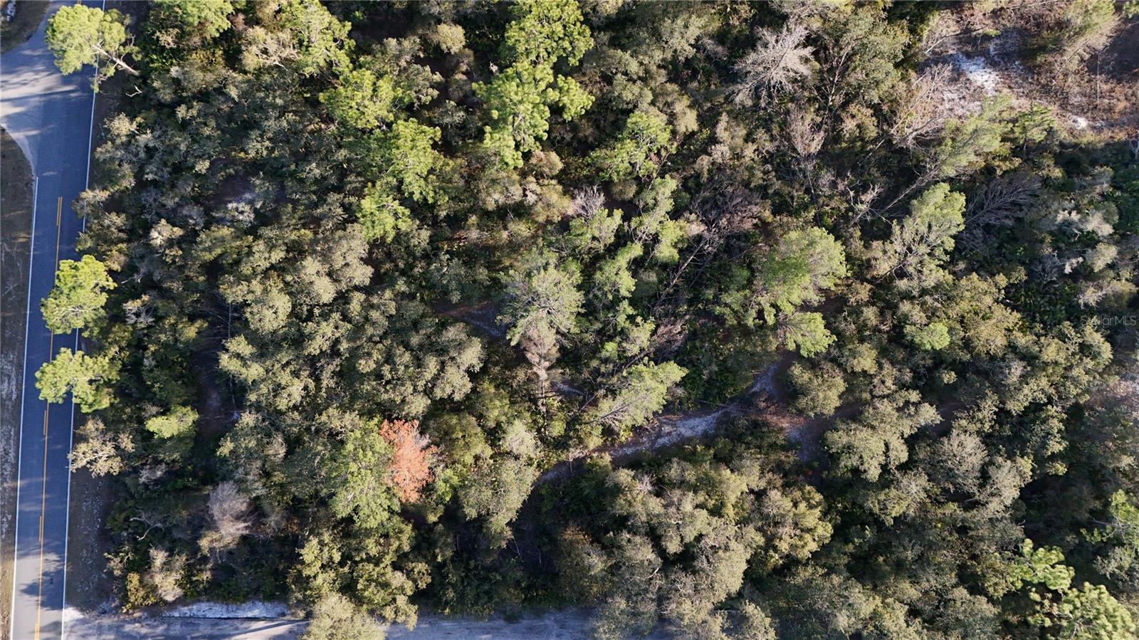 Image 2 of 3 For 42475 Royal Trails Road